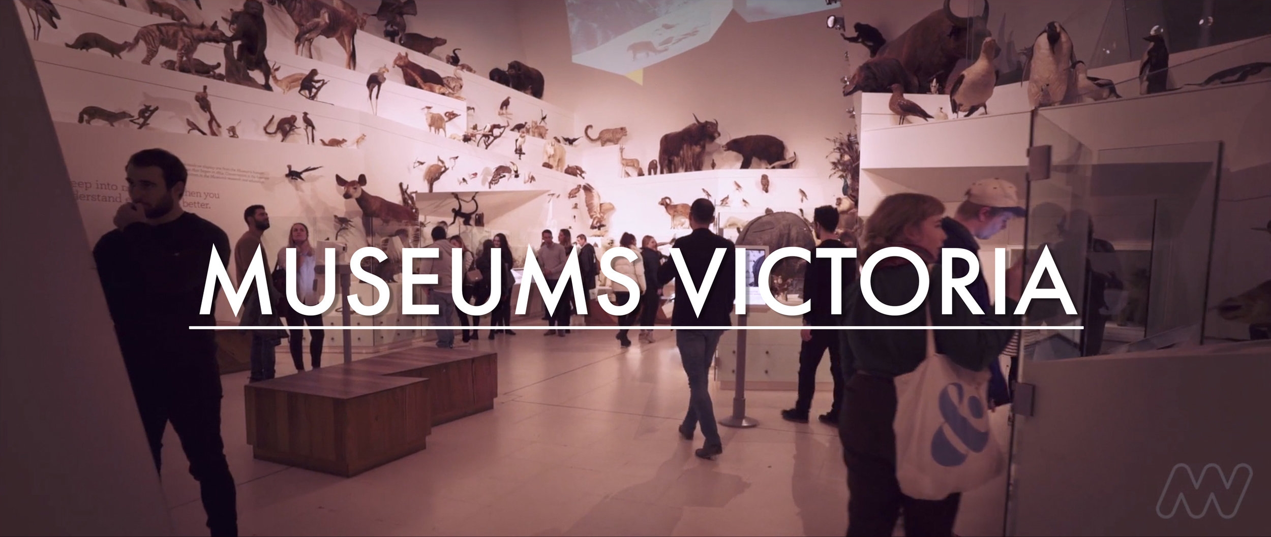 feature-museums-victoria.jpg