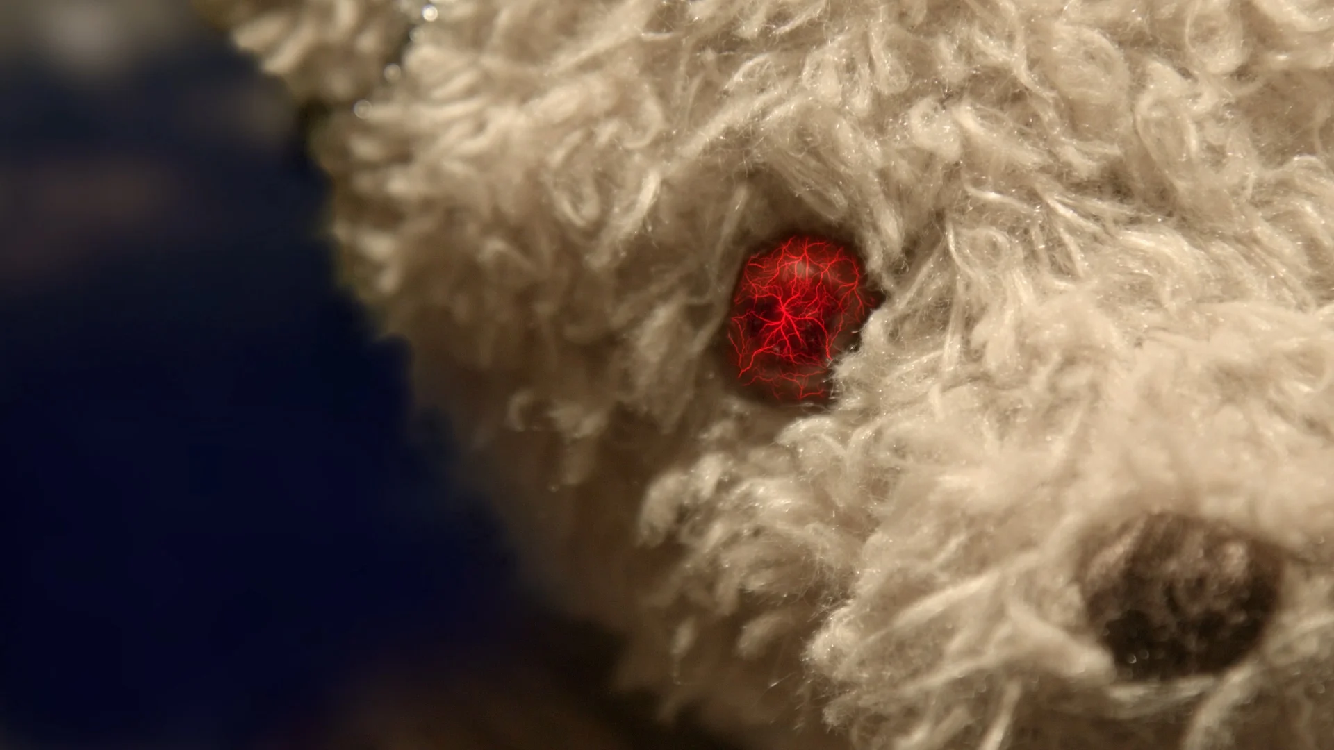 Nounours still 14.jpg