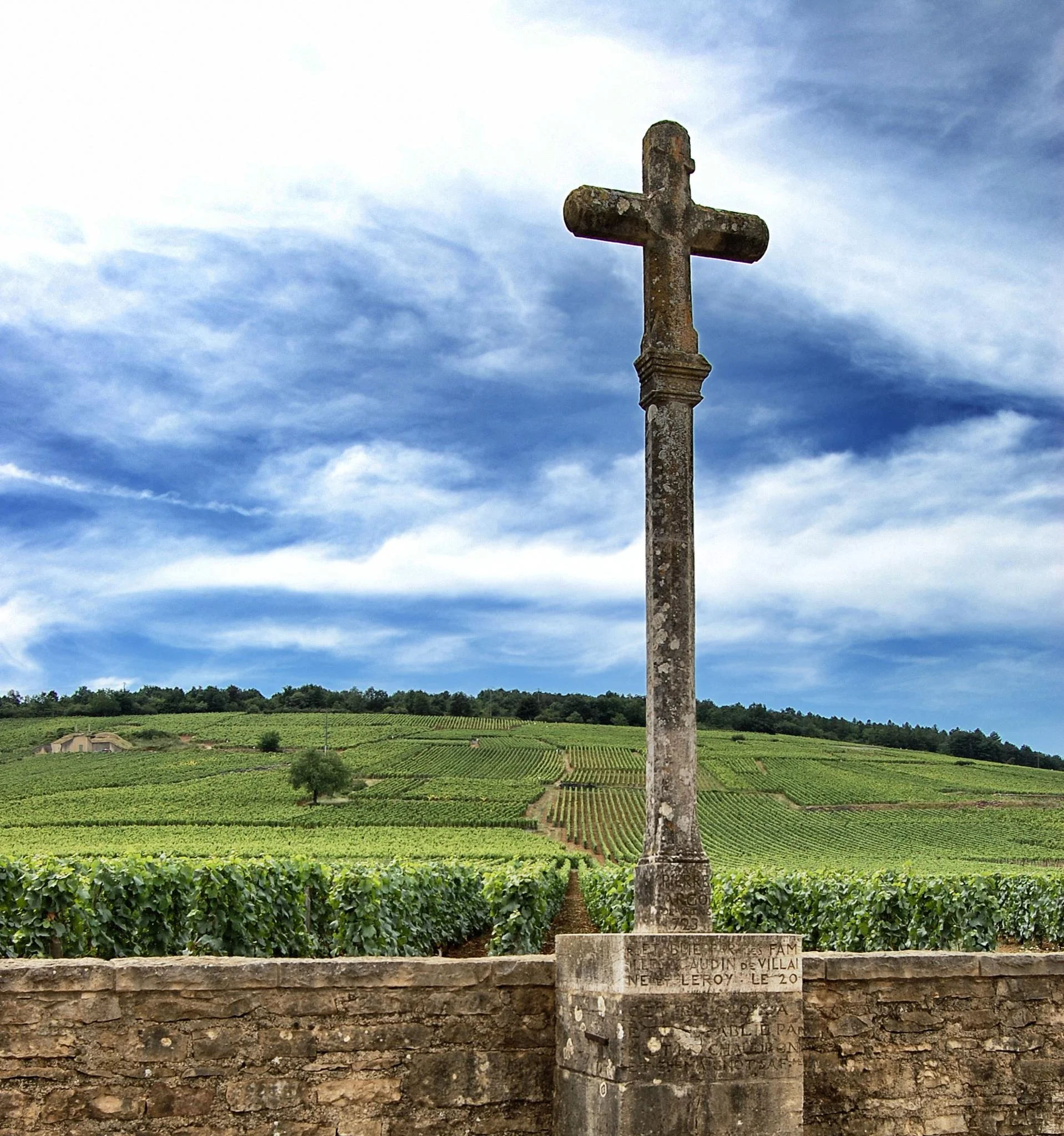 Domaine-romanee-conti-vineyard.jpg