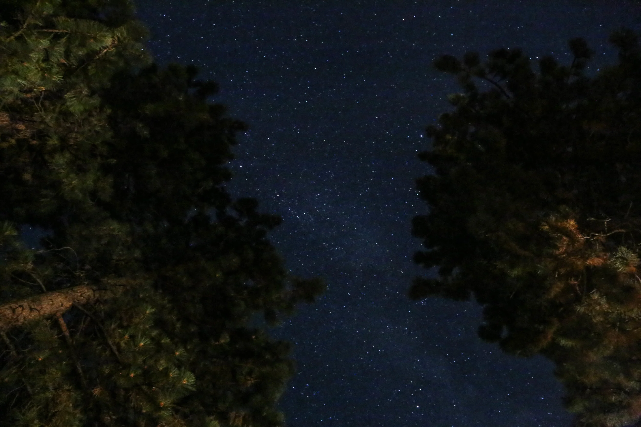 tahoe6.jpg