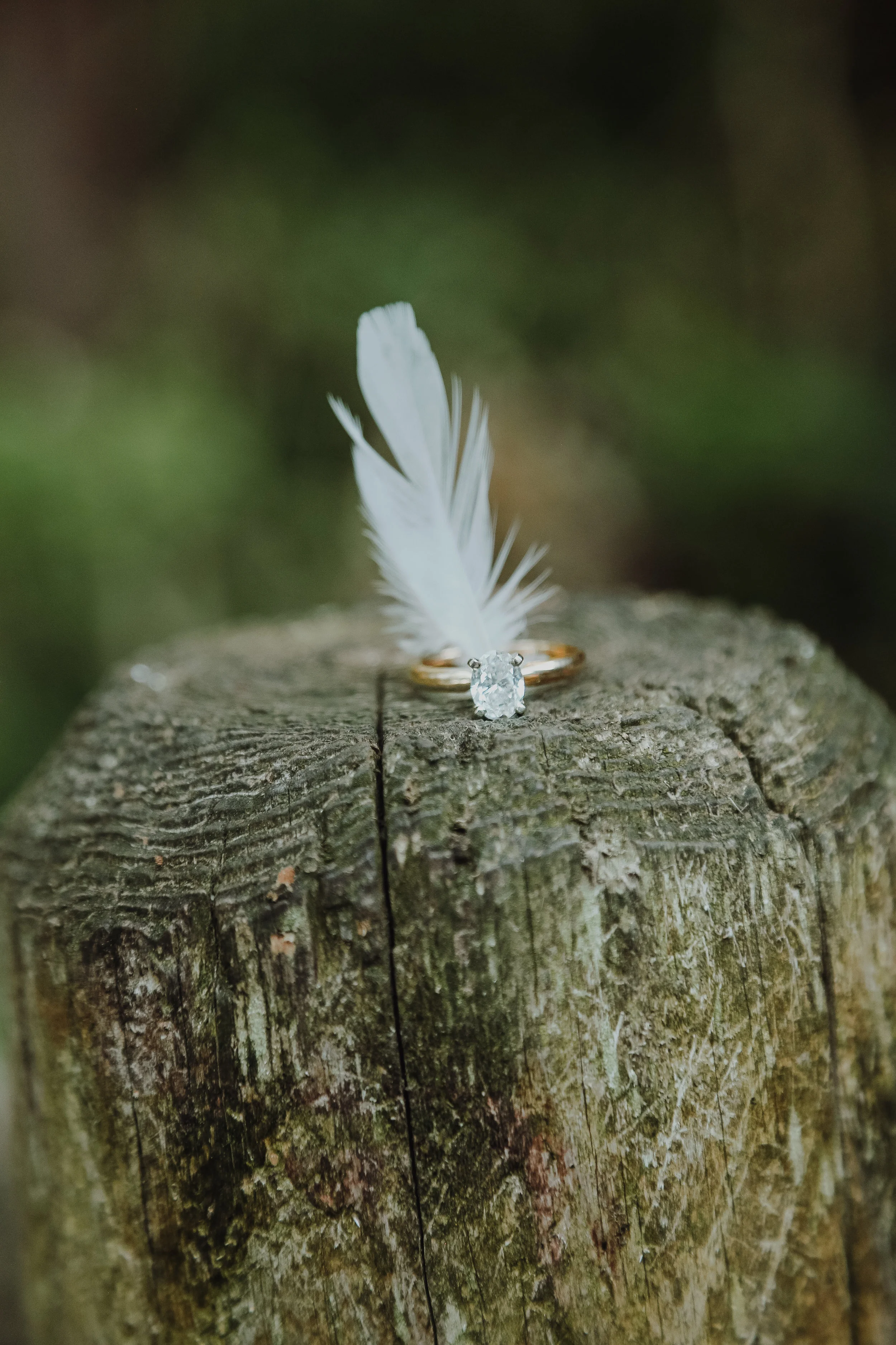 M&S-EngagementPhotos-48.jpg