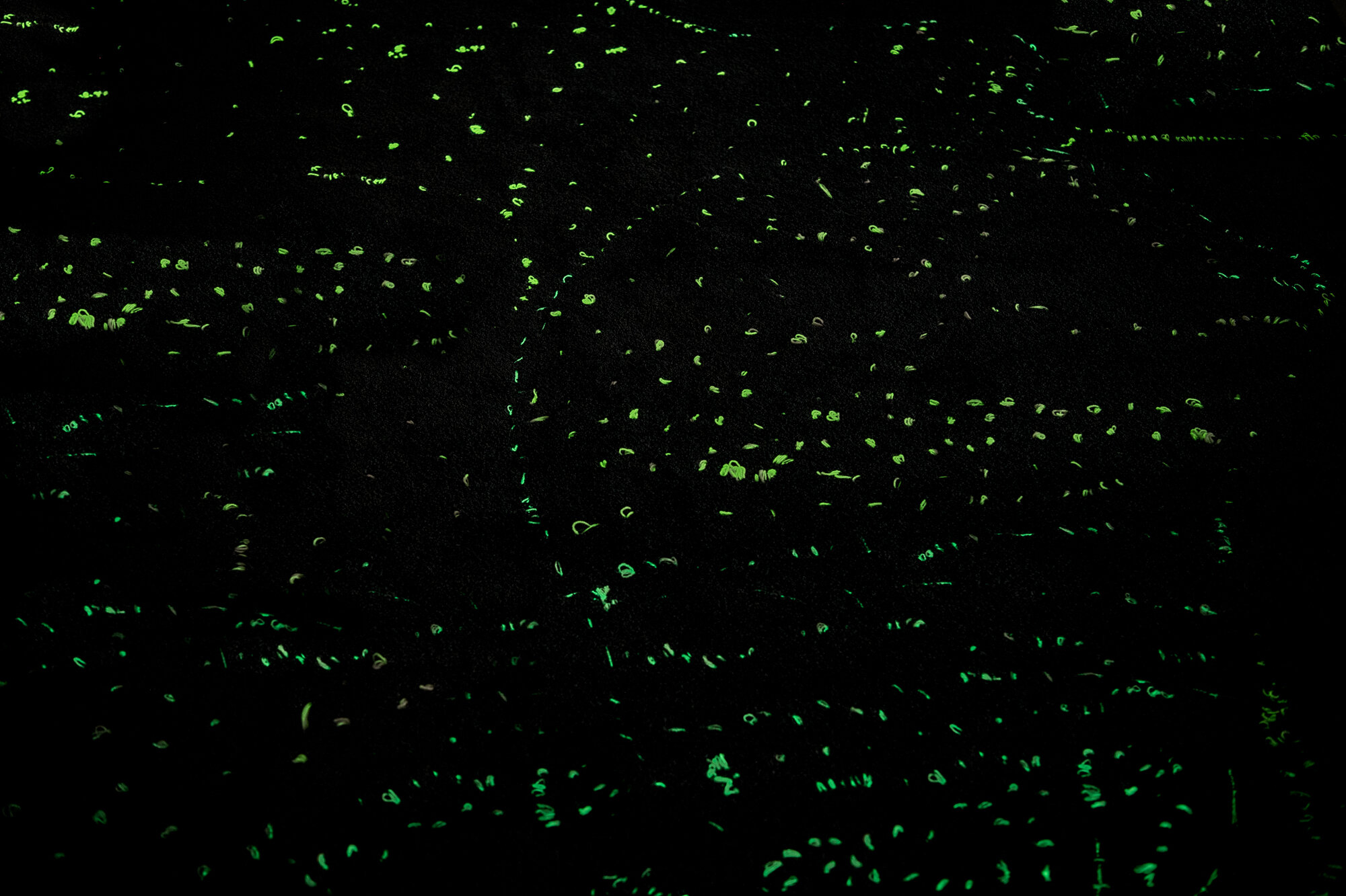 Tales Of The Adriatic_Foto-KRazinger_Plankton Rug_02.jpg