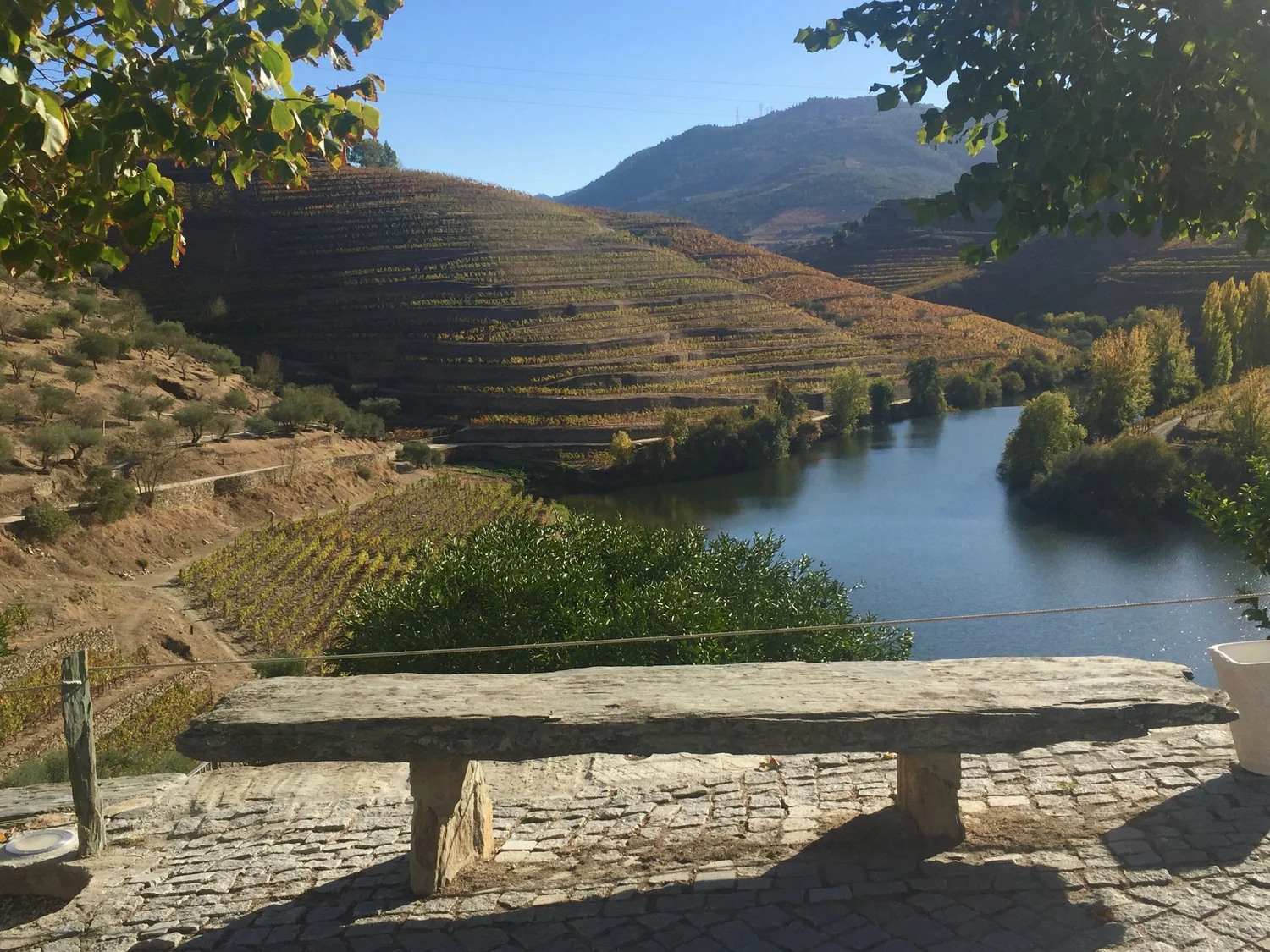  Perhaps you have sat here, looking out over rio Tedo? 