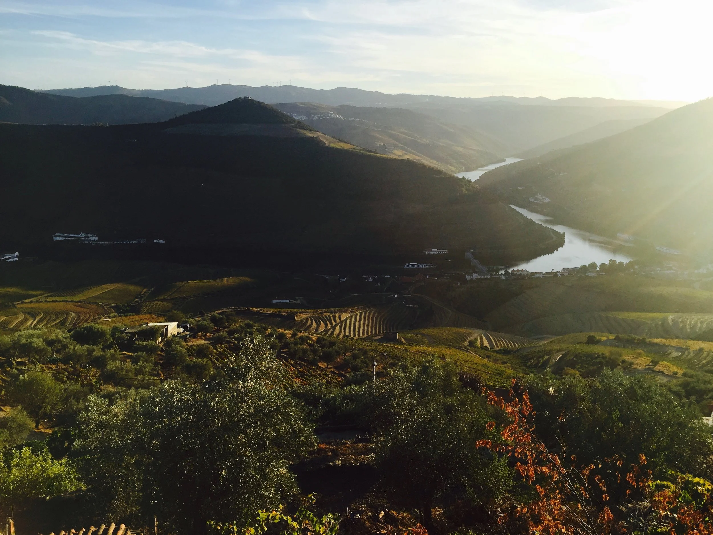 Always breathtakingly beautiful Douro Valley!
