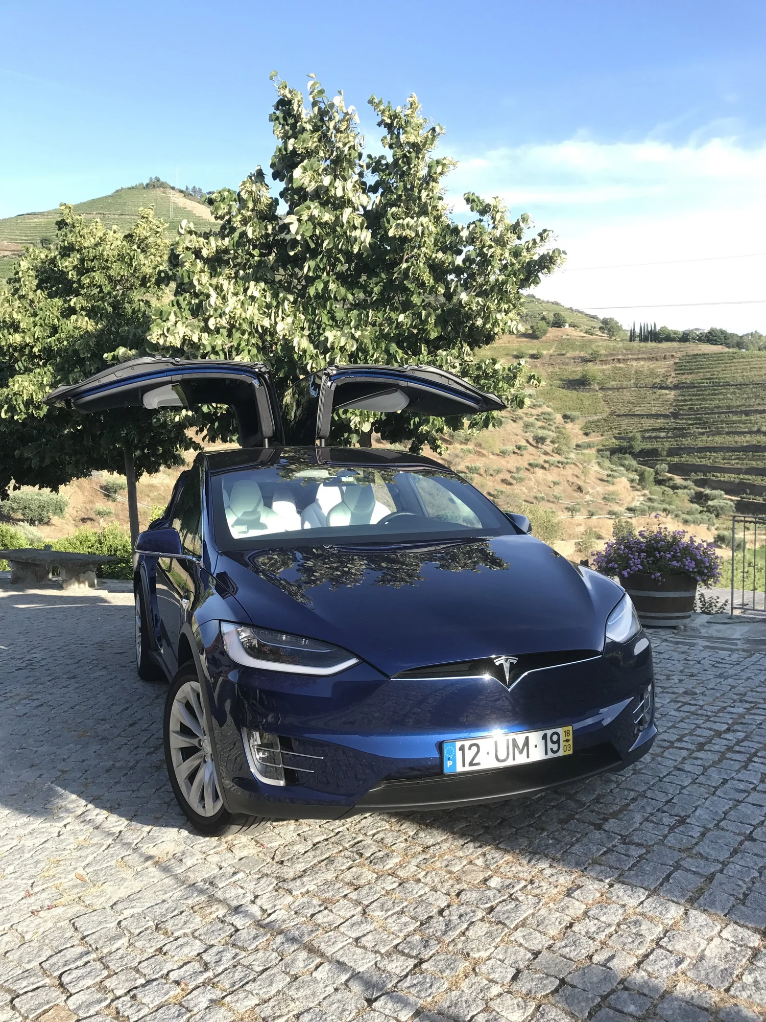 A perfect way to arrive at Quinta do Tedo. 