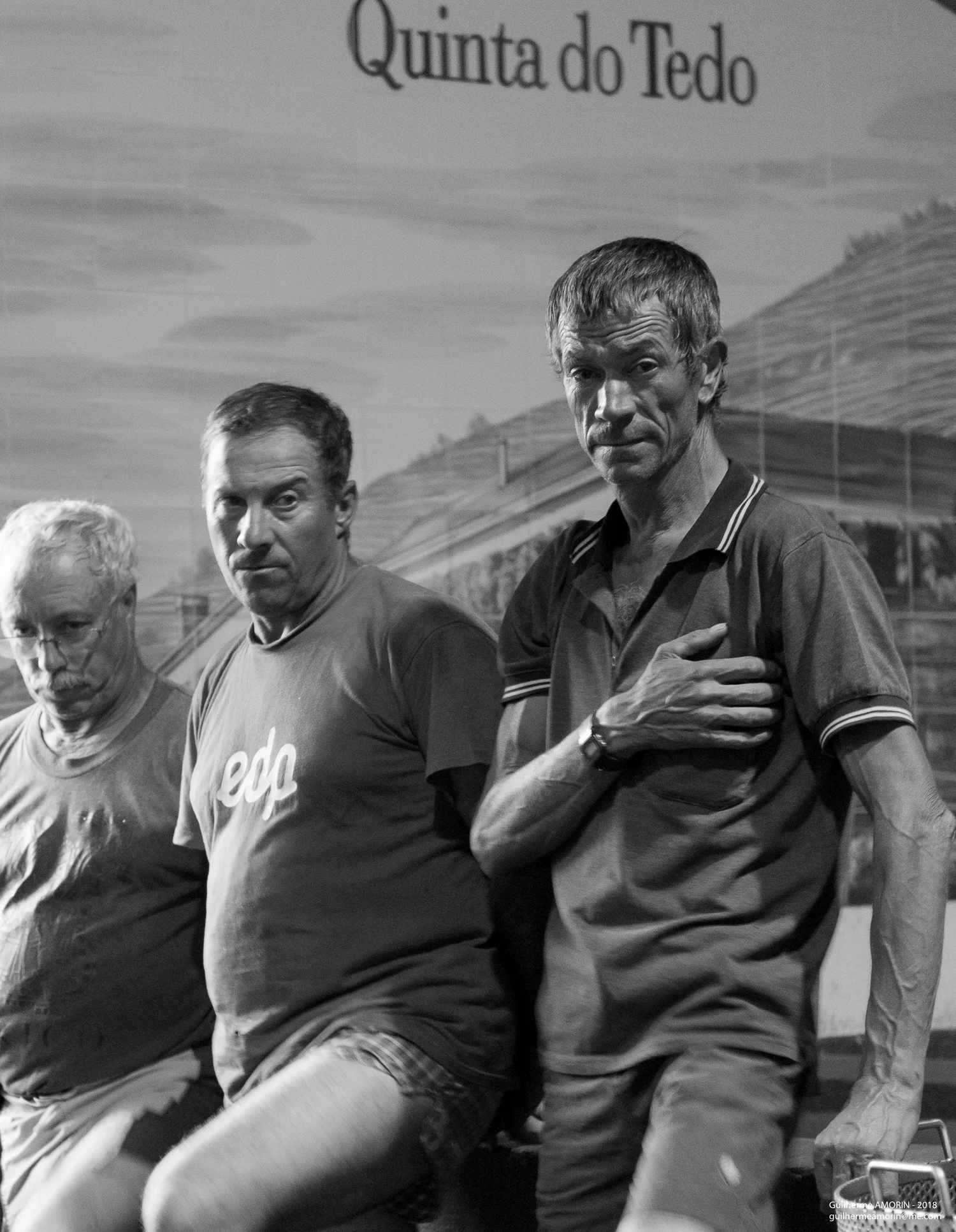  Our vineyard workers, after a long day of picking, foot tread 3 hours for approximately 3 days until fortification = birth of a new Porto! Tired, proud and committed, thank you. 