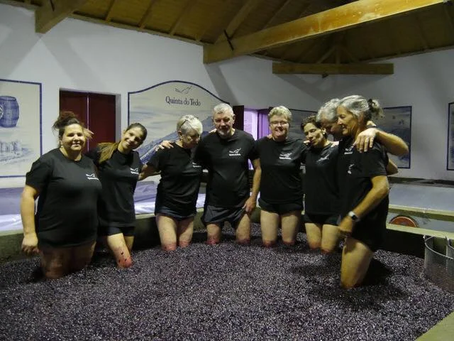  There is also merriment in the  lagars -  together with B and B guests, tour guide Rita and cook Adelaide, to add  allegria  to the adrenaline-charged harvest time. 