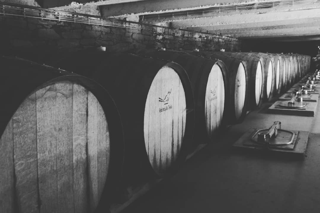 A small part of our Tawny barrel “library”.