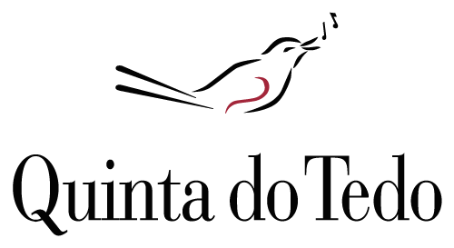 qdt-logo-small-stacked.png