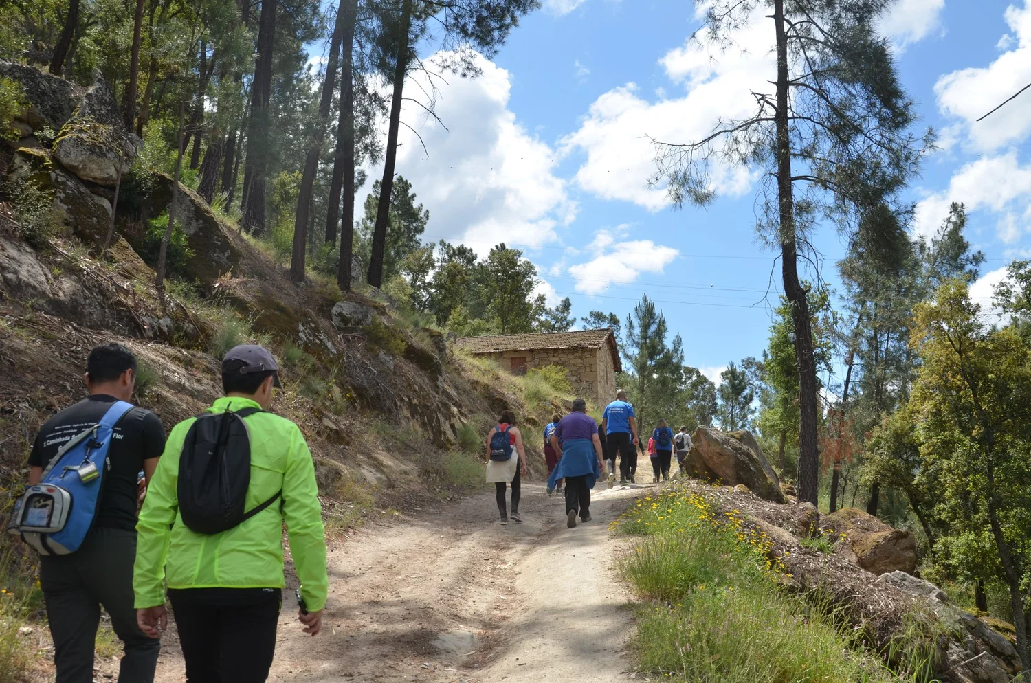  Elevation change through pine forests. 