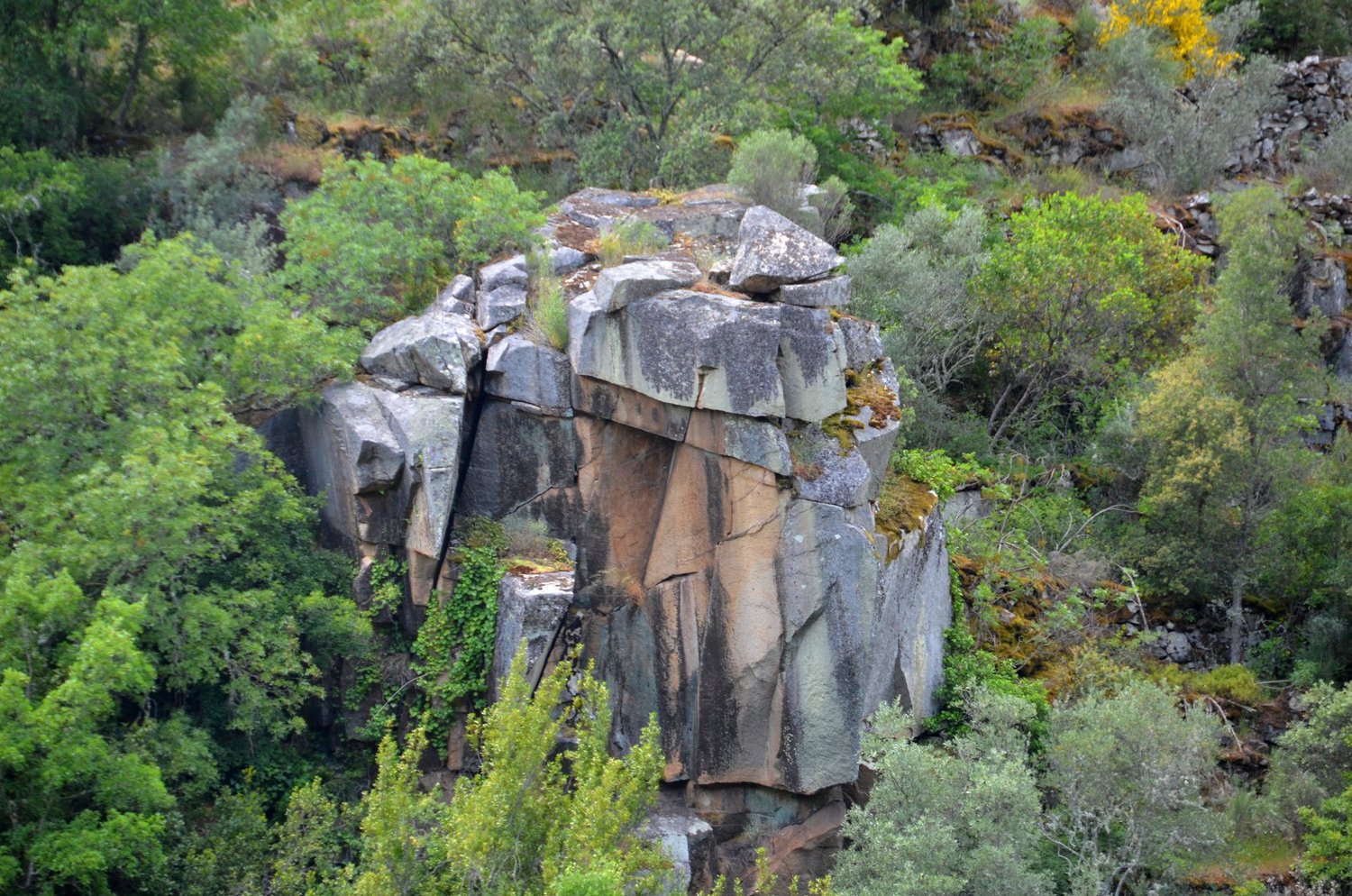  Schist formations. 