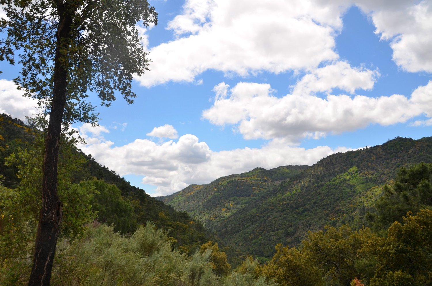  Tedo Valley. 