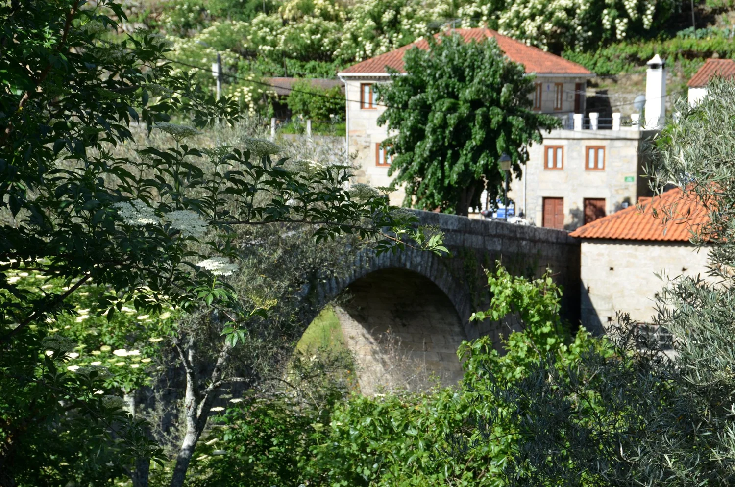  Crossing over Granja’s Roman bridge. 