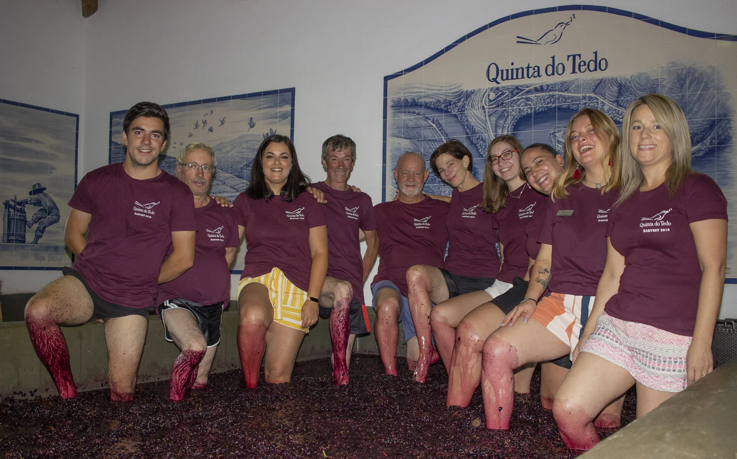 A Team Tedo foot treading shot – to include those who work in the vineyards, in the cellars, in hospitality and Vincent and myself!
