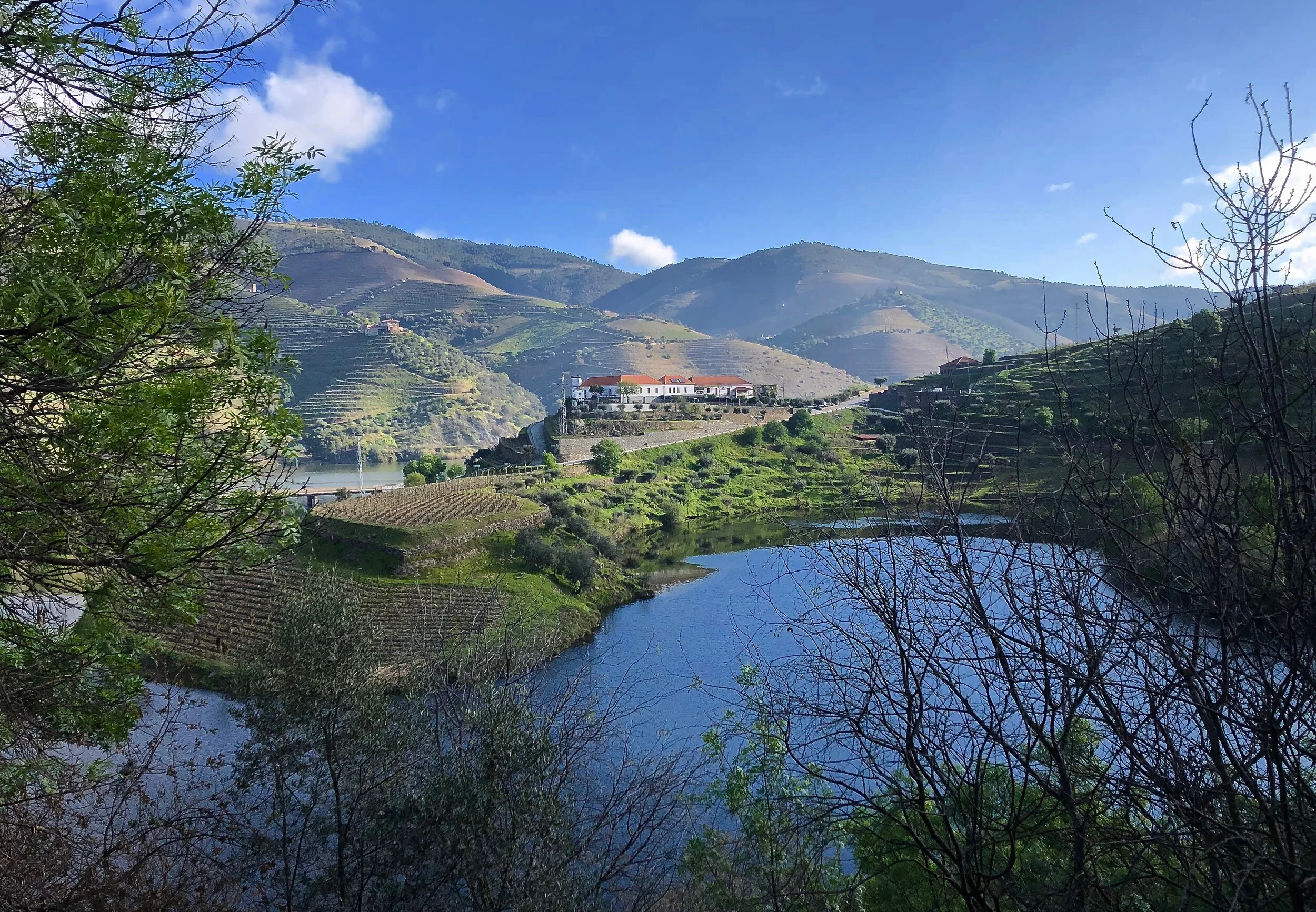 Updates from Quarantine in Douro Valley