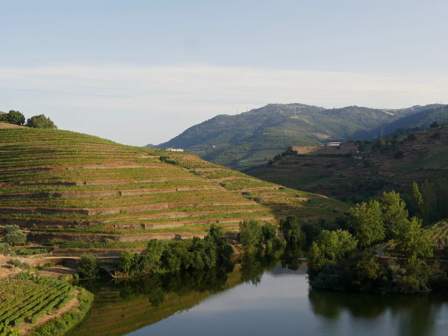 The Tedo Valley view (adorned with some impressive new signage) that we look forward to sharing with YOU as soon as you can make it here!