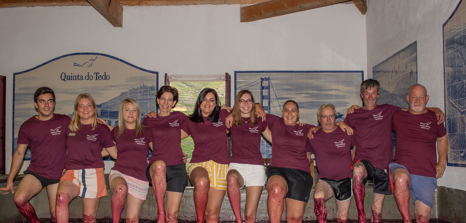  Team Tedo foot treading 2019. 
