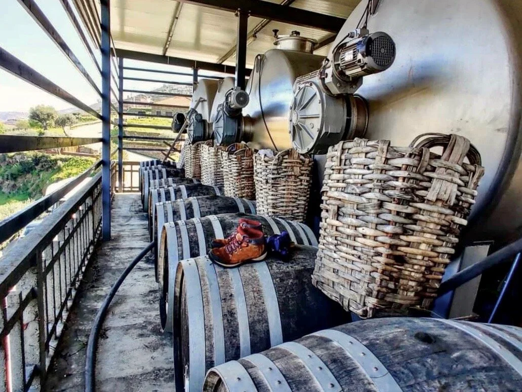  Harvest’s over and so are the days of our winemaking team’s wet, cellar feet!  Photo by Vera Matias . 