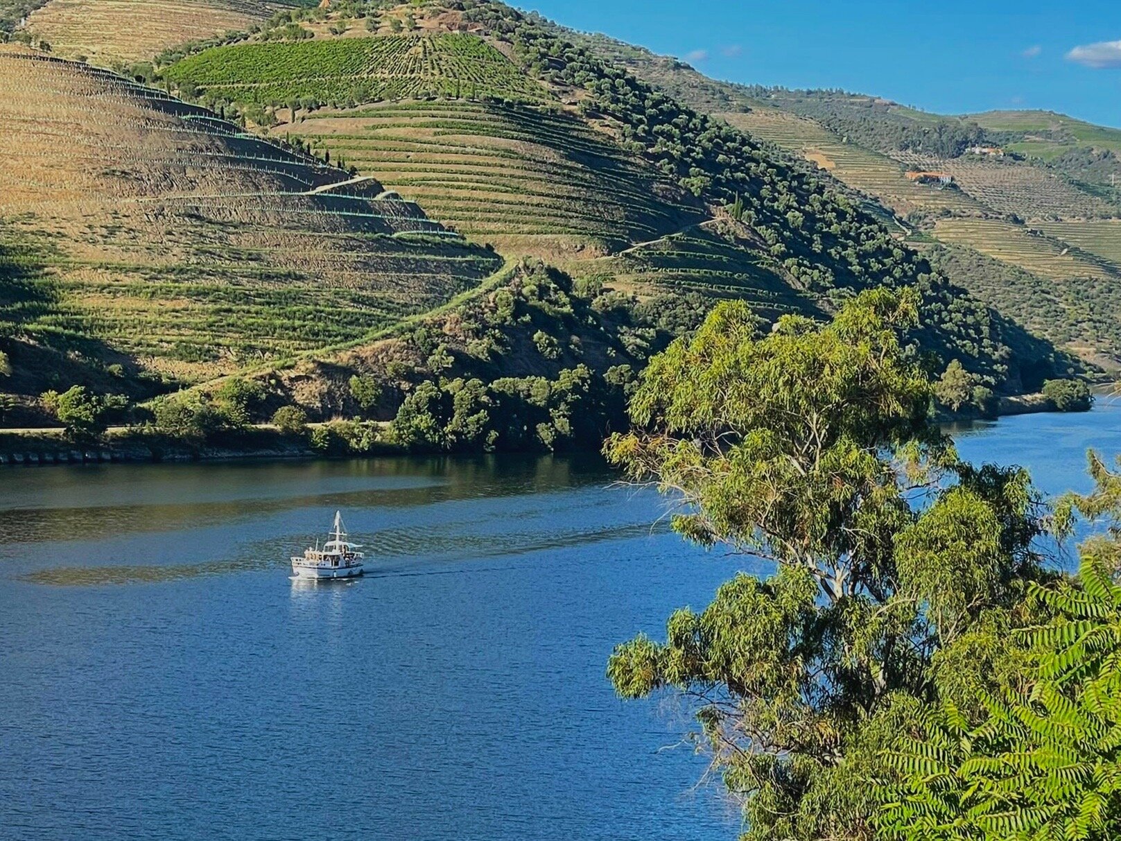 The RIVUS Wine Boat cruising just below our tasting room at sunset.  (Copy)