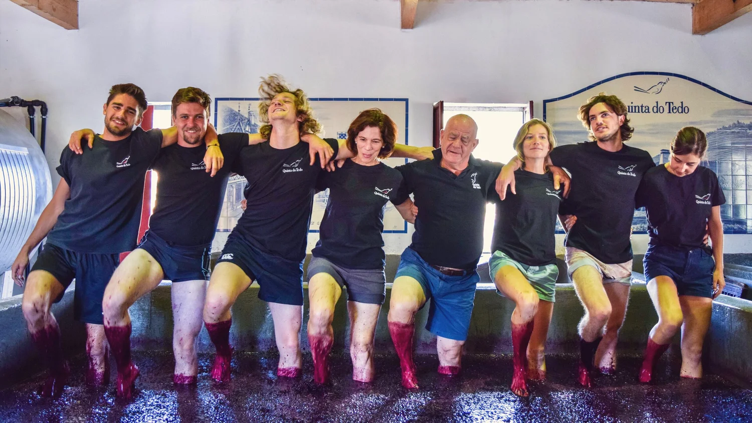The Bouchard Family, Tedo Team and #tedofriends foot-treading Port-in-the-making to owner Vincent Bouchard’s cadence in our traditional lagares.