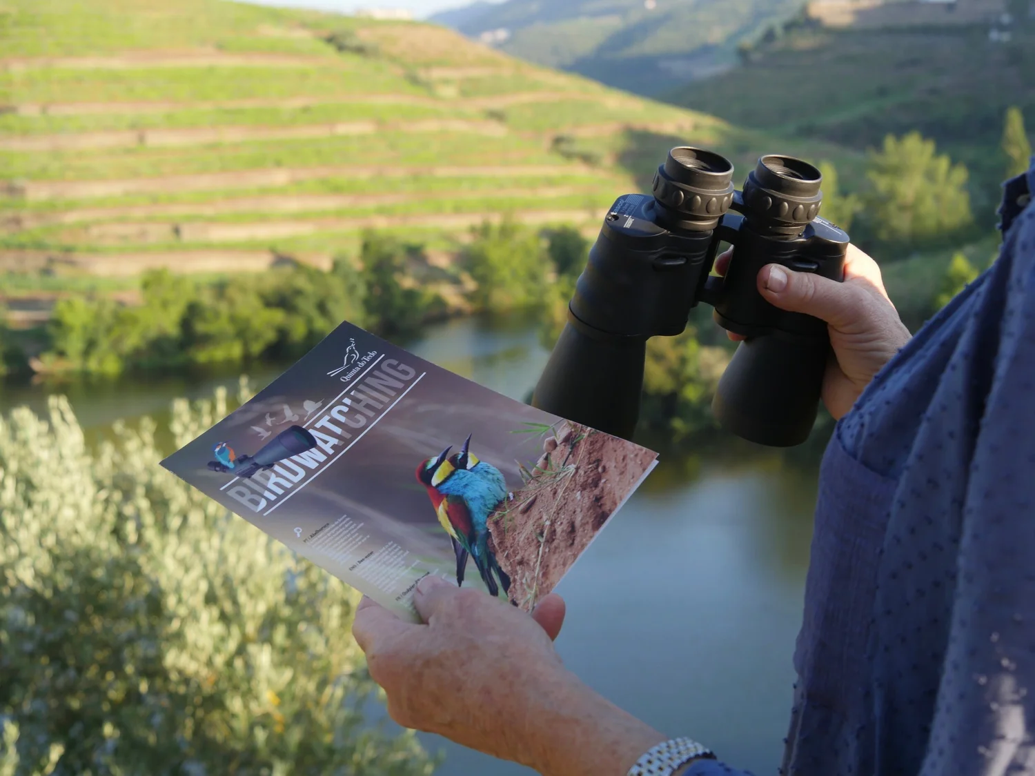 How many species in our birdwatching guide can YOU spot?
