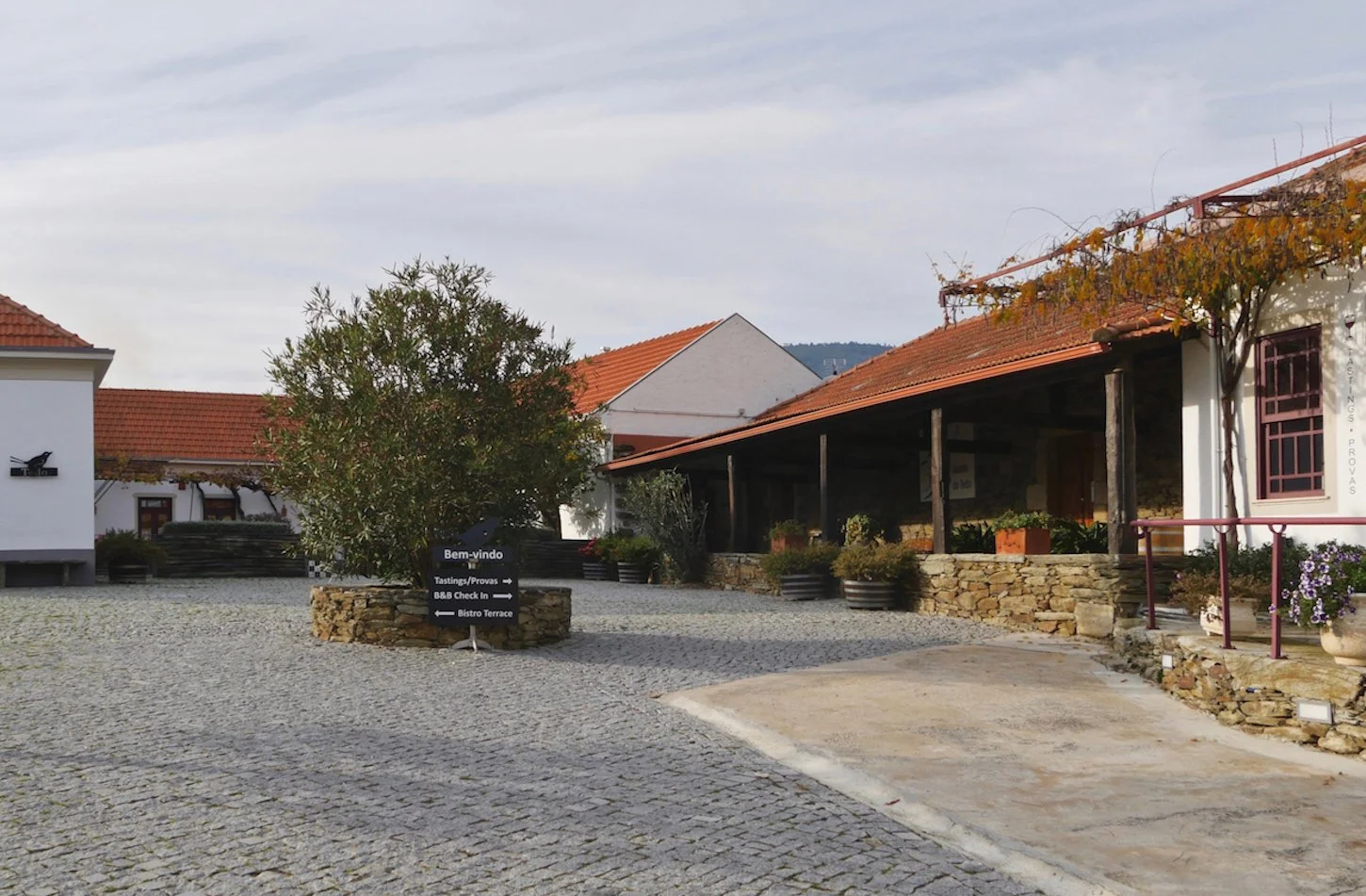 30 années à Quinta do Tedo ! — Quinta do Tedo
