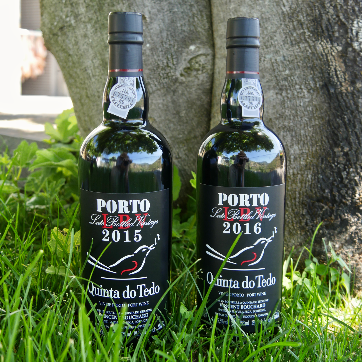 New LBV 2016 and sold-out LBV 2015
