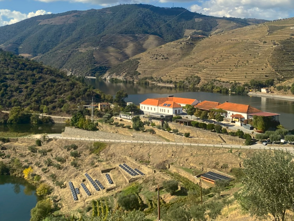 Solar panels on a south bank between our olive groves and vineyards.