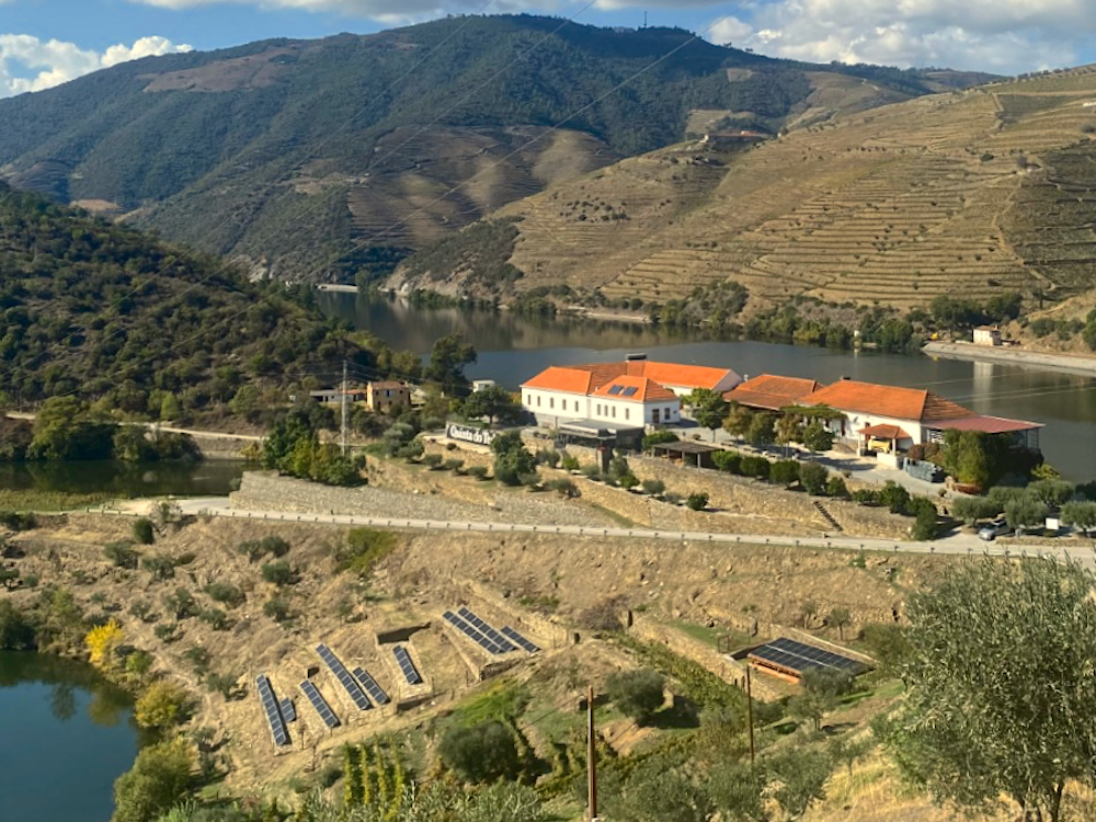 Sustainability –&nbsp;not just a&nbsp;green&nbsp;buzzword at Tedo