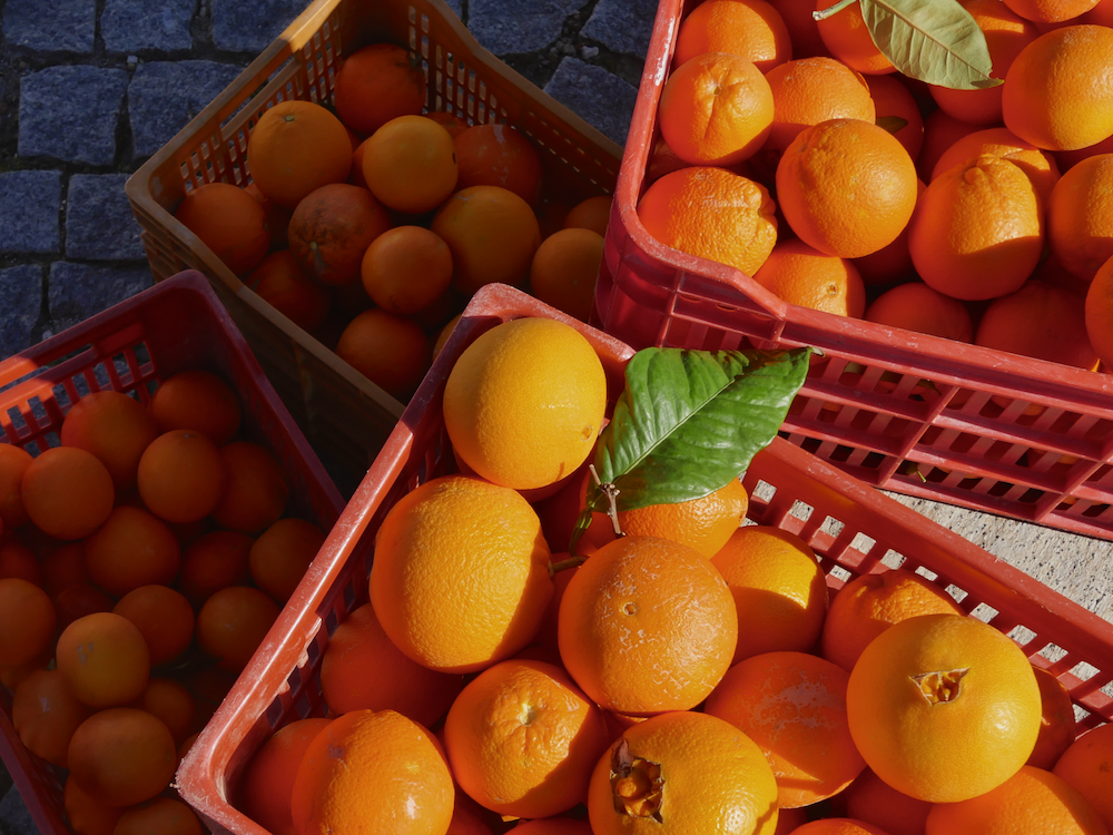 Confiture d'oranges du domaine pour le petit-déjeuner.