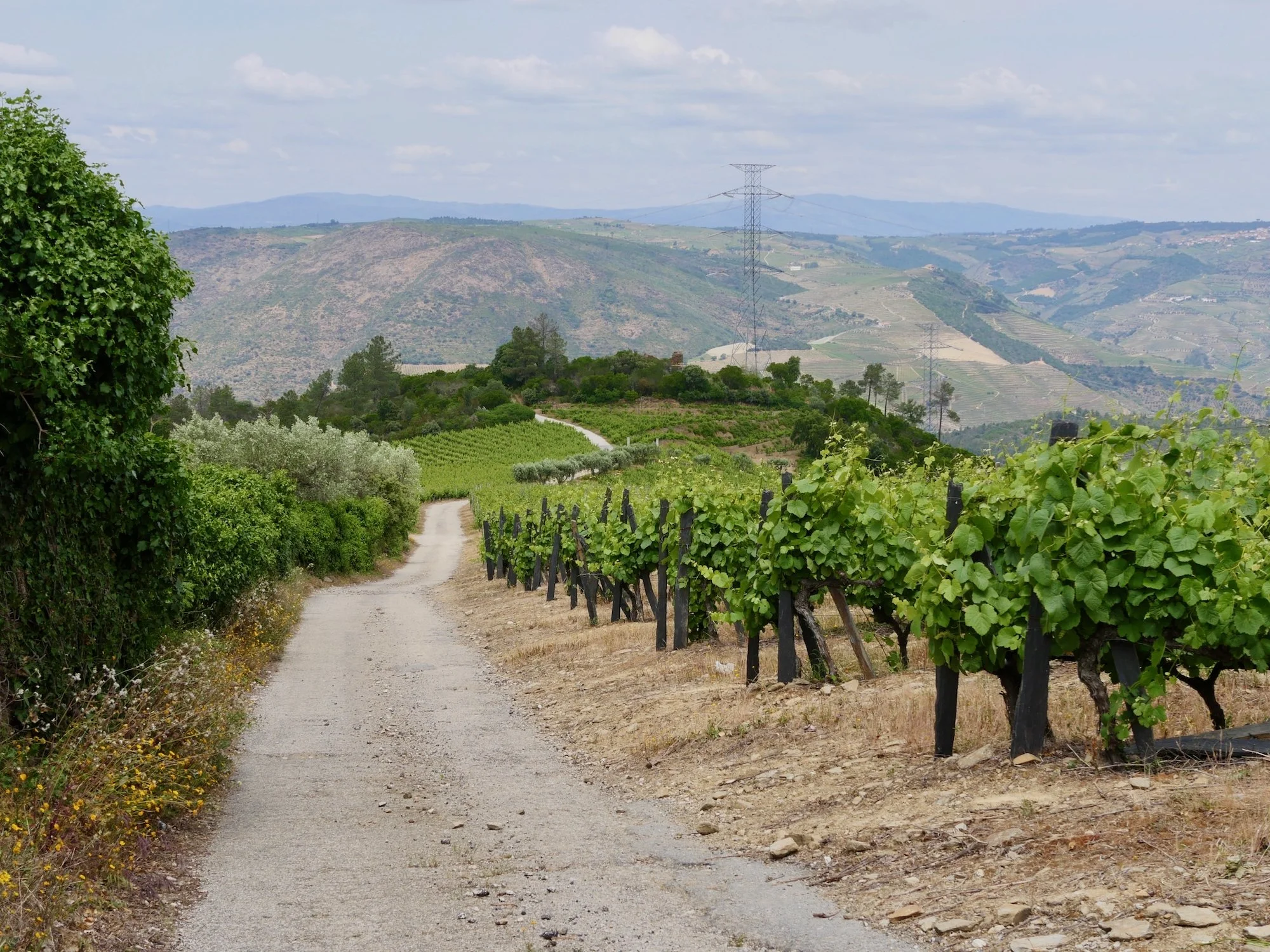 Hiking the GR14 European Wine Route around Quinta do Tedo
