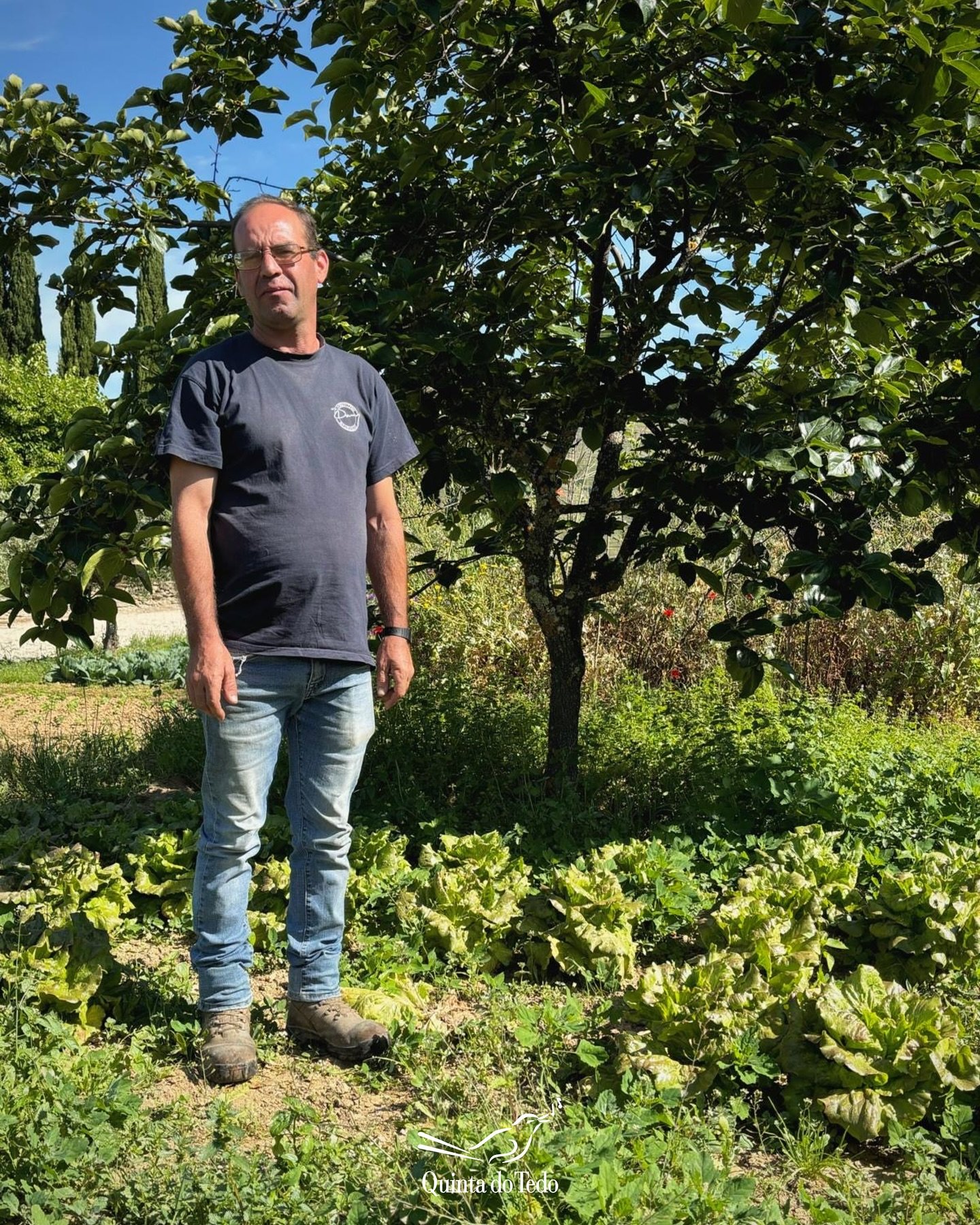 ᴘᴛ Hoje apresentamos o Felipe e, com ele, a nossa horta 🌱

H&aacute; 26 anos que cultiva com sabedoria, paci&ecirc;ncia e amor os sabores que servimos &agrave; mesa na Quinta do Tedo.

Entre todas as culturas, as suas preferidas s&atilde;o a alface 