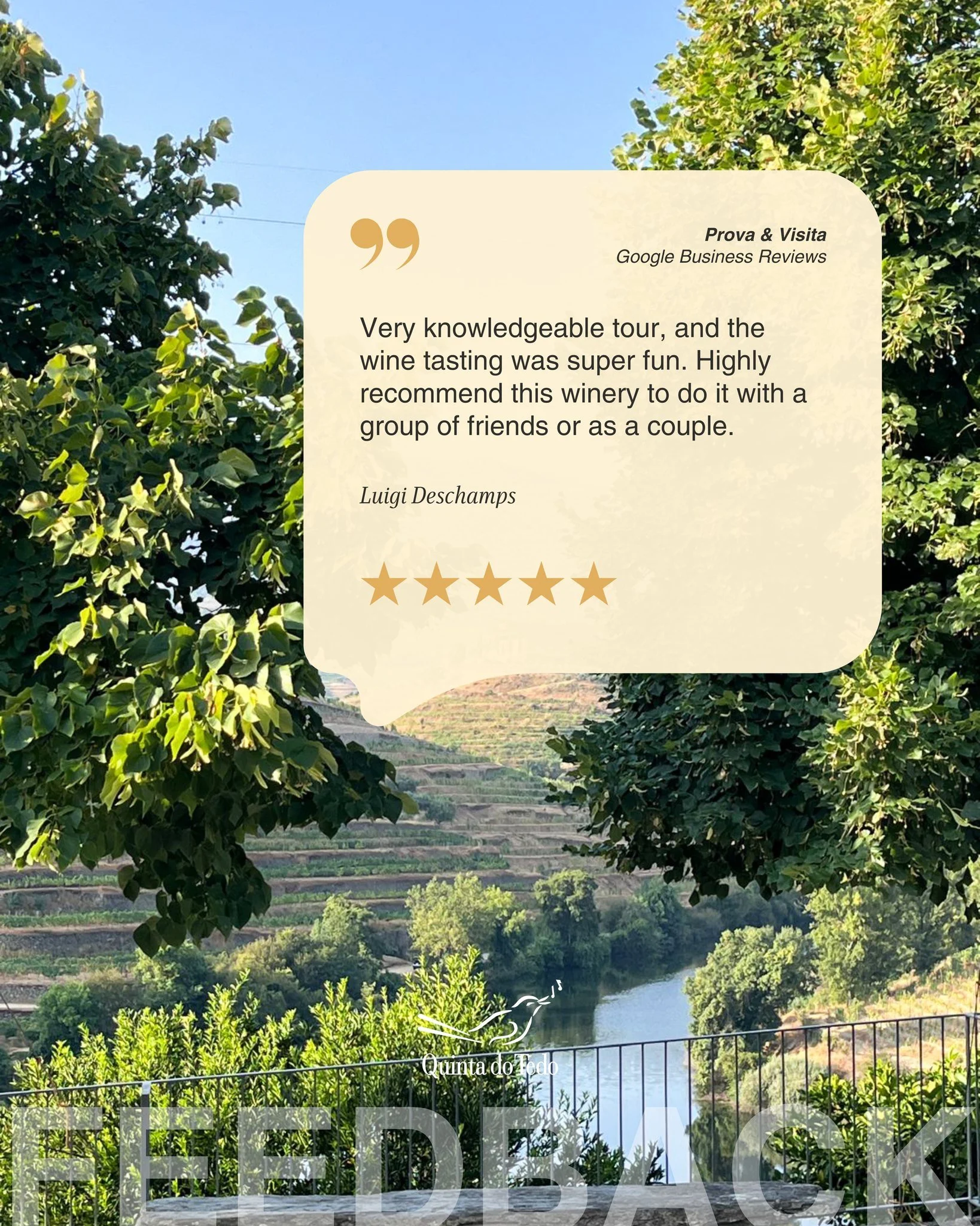 ᴘᴛ Ser&aacute; sempre um prazer receber grupos de amigos ou casais na Quinta do Tedo para momentos como este.

Muito obrigado pelo feedback! ❤️ 

ᴇɴ It is always a pleasure to welcome groups of friends or couples to Quinta do Tedo for moments like th