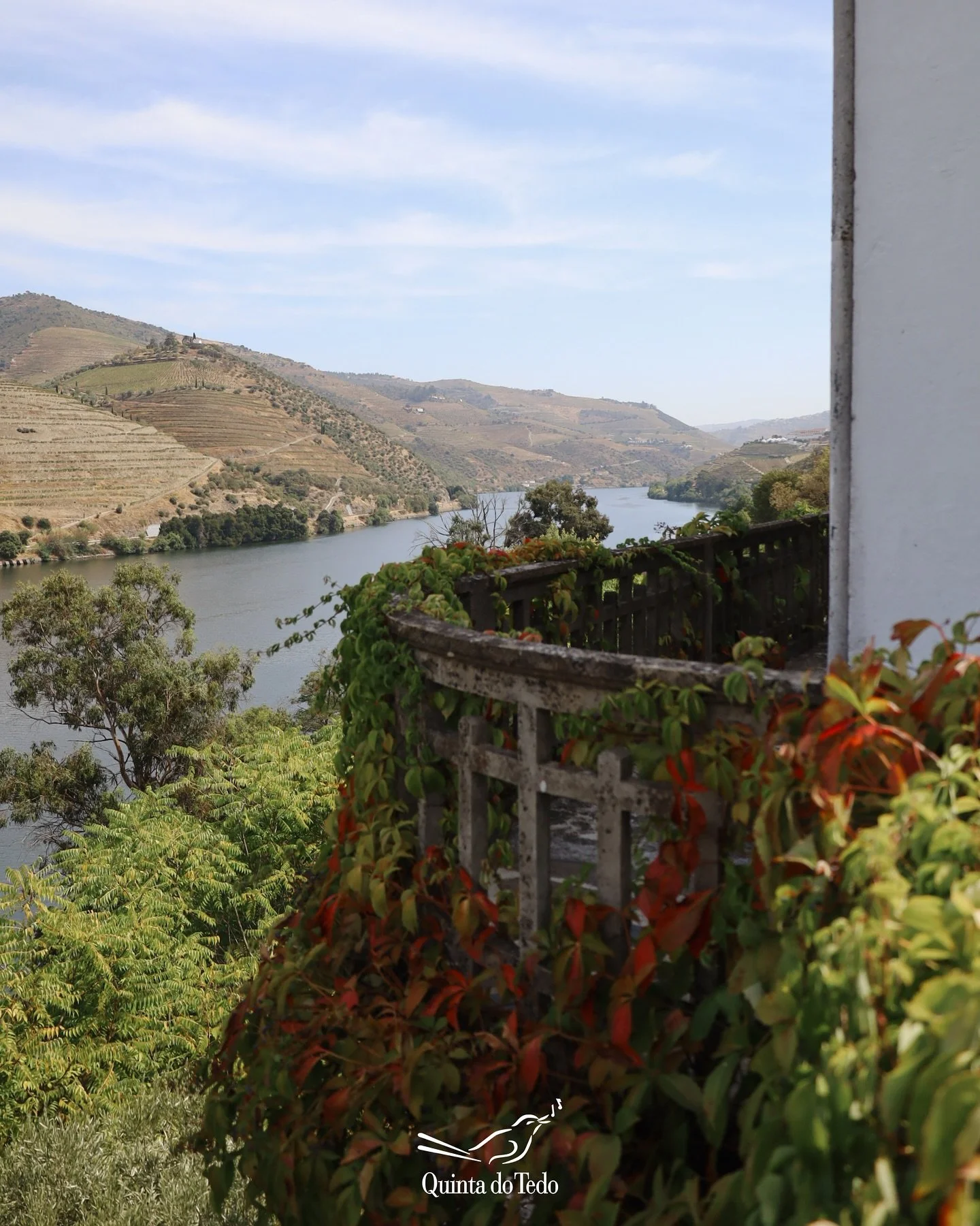 ᴘᴛ No cora&ccedil;&atilde;o do Douro, cada detalhe convida a parar, sentir e brindar.🍷

Reserve j&aacute; a sua visita &agrave; Quinta do Tedo neste outono!

ᴇɴ In the heart of the Douro, every detail invites you to stop, feel, and toast.🍷

Book yo