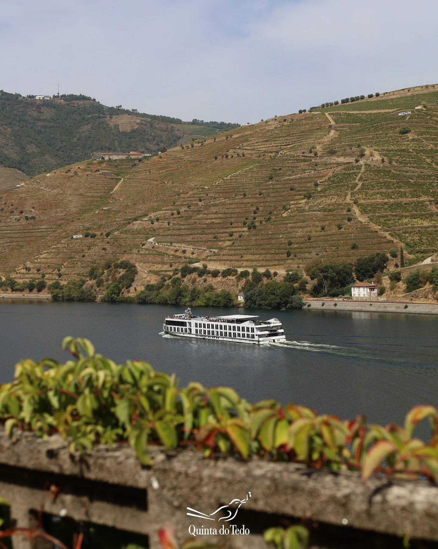 ᴘᴛ 🌿 &ldquo;Um excesso de Natureza&rdquo; - era assim que Miguel Torga descrevia o que sentimos no Douro.

As vinhas, os rios e as encostas que nos lembram a for&ccedil;a e a beleza da terra. ✨

ᴇɴ 🌿 &ldquo;An excess of Nature&rdquo; - that&rsquo;s