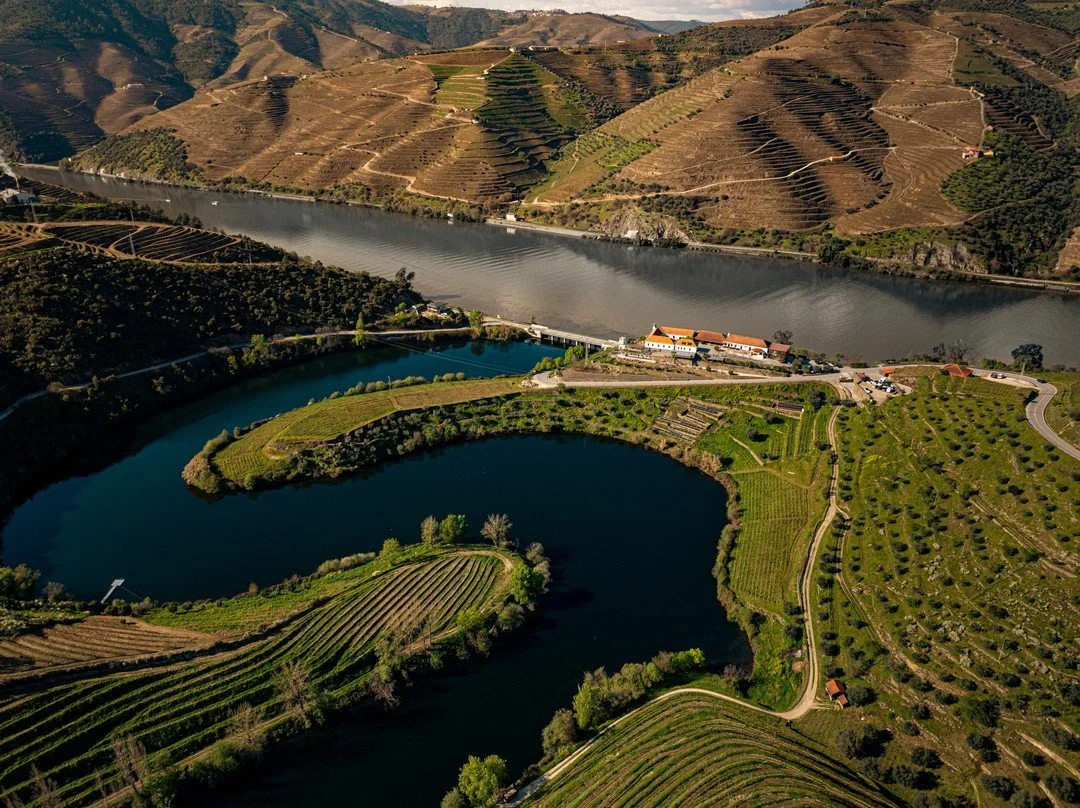 ✨ Sabores com vista para o Douro.
Entre as vinhas em socalcos e as curvas do rio, o Bistro Terrace oferece uma experi&ecirc;ncia gastron&oacute;mica que combina tradi&ccedil;&atilde;o, frescura e o charme &uacute;nico da Quinta do Tedo.
⠀⠀⠀⠀⠀⠀⠀⠀⠀⠀
//
