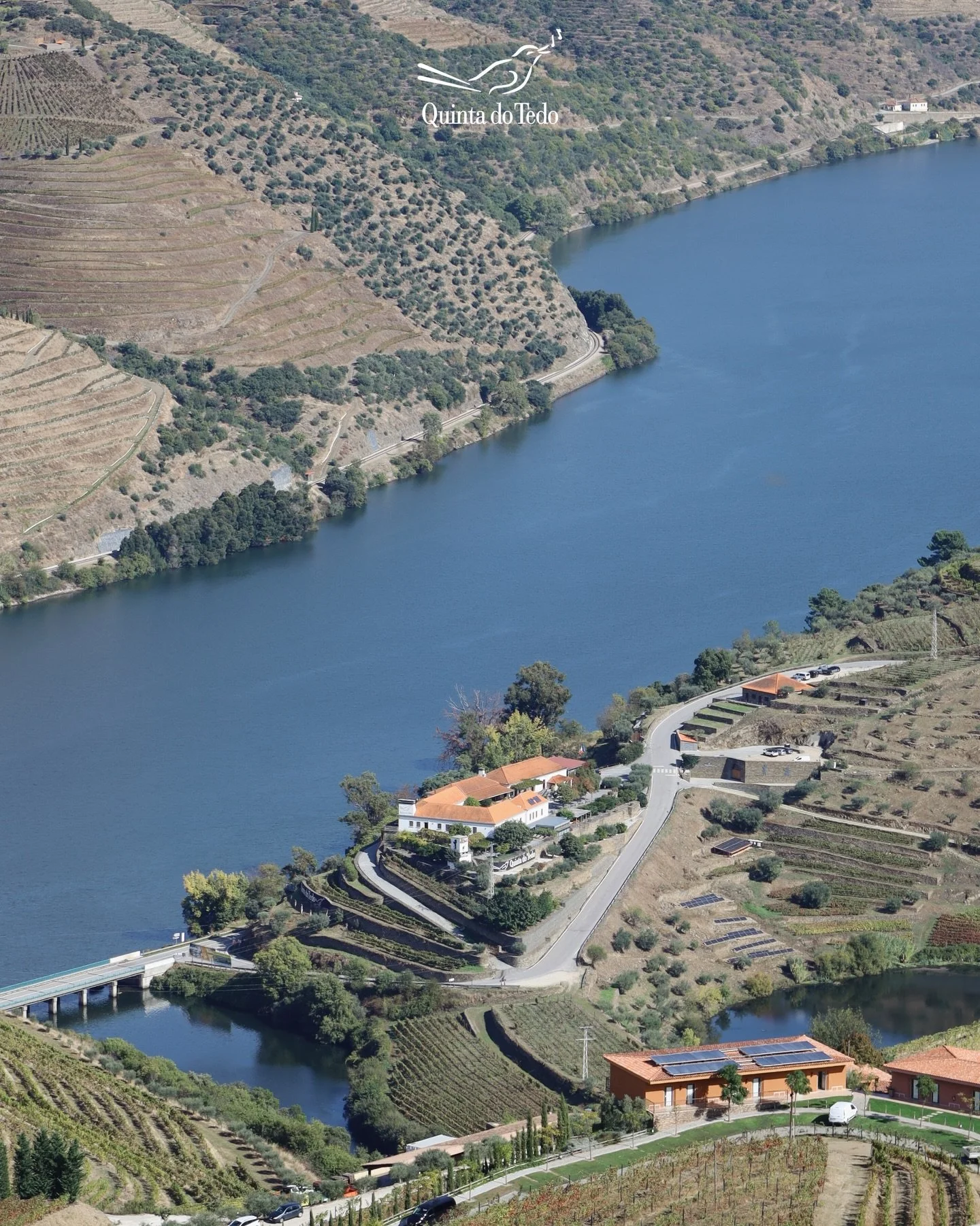 ᴘᴛ O Douro sublimado 😍

ᴇɴ The sublime Douro 😍

ғʀ Le Douro sublim&eacute; 😍

#quintadotedo #dourovalley #visitdourovalley #ilovedouro #dourovalleyquinta #portugal #visitportugal