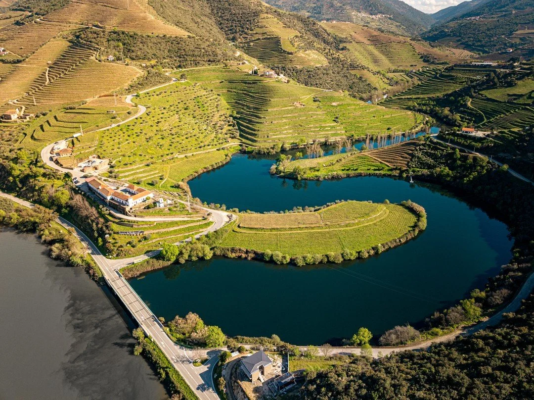 No Bistro Terrace, cada garfada &eacute; celebrada diante de um cen&aacute;rio inesquec&iacute;vel. Um convite para saborear a vida em harmonia com a paisagem.
⠀⠀⠀⠀⠀⠀⠀⠀⠀⠀
//
⠀⠀⠀⠀⠀⠀⠀⠀⠀⠀
At Bistro Terrace, every bite is savored against an unforgettable