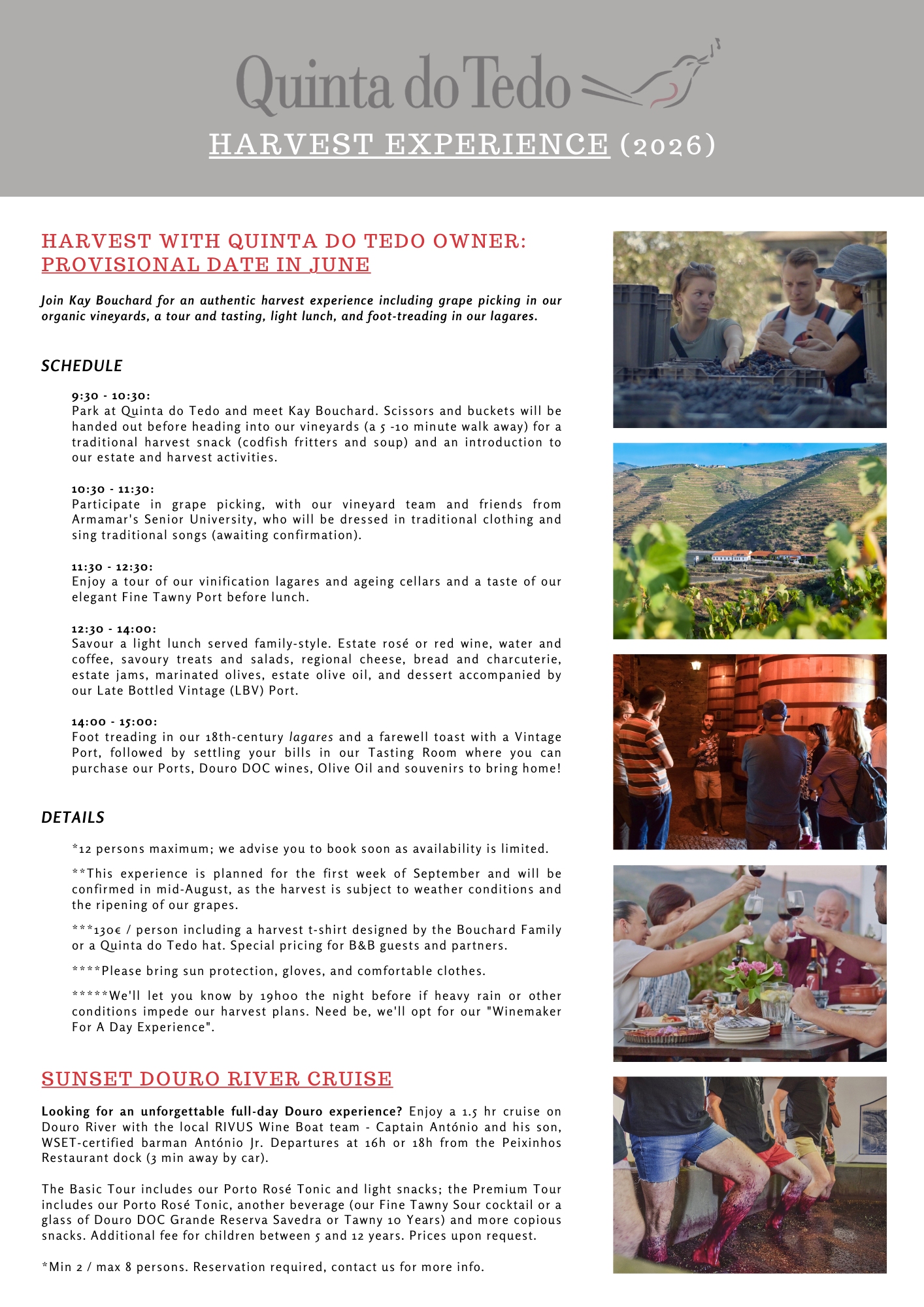 Harvest Experience V1 (EN).png