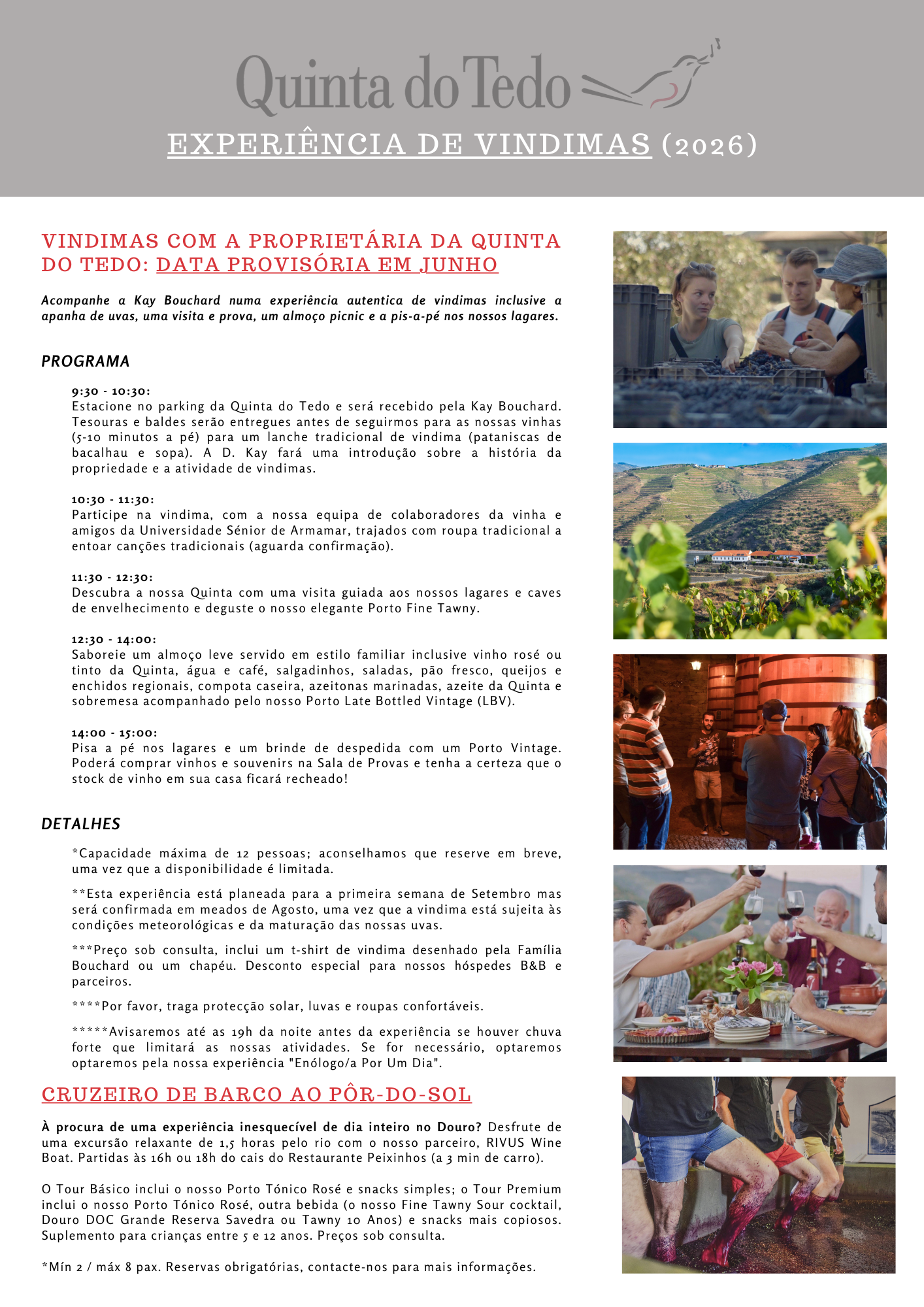 Harvest Experience V1 (PT).png