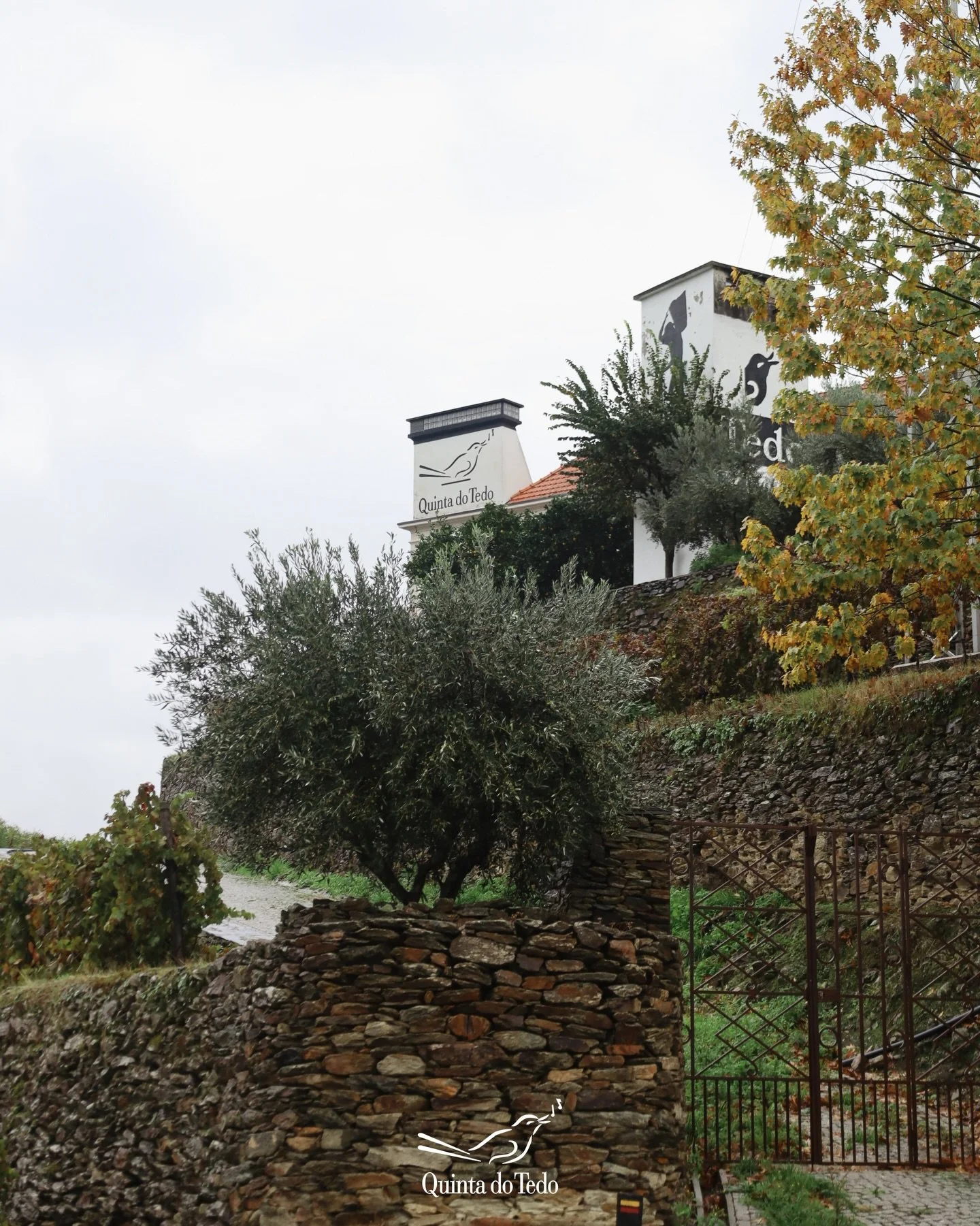 ᴘᴛ H&aacute; lugares que se sentem antes de se explicarem.
A Quinta do Tedo &eacute; um deles. Visite-nos!

ᴇɴ There are places that you feel before you can explain.
Quinta do Tedo is one of them. Come visit us!

ғʀ Il y a des endroits qui se ressent