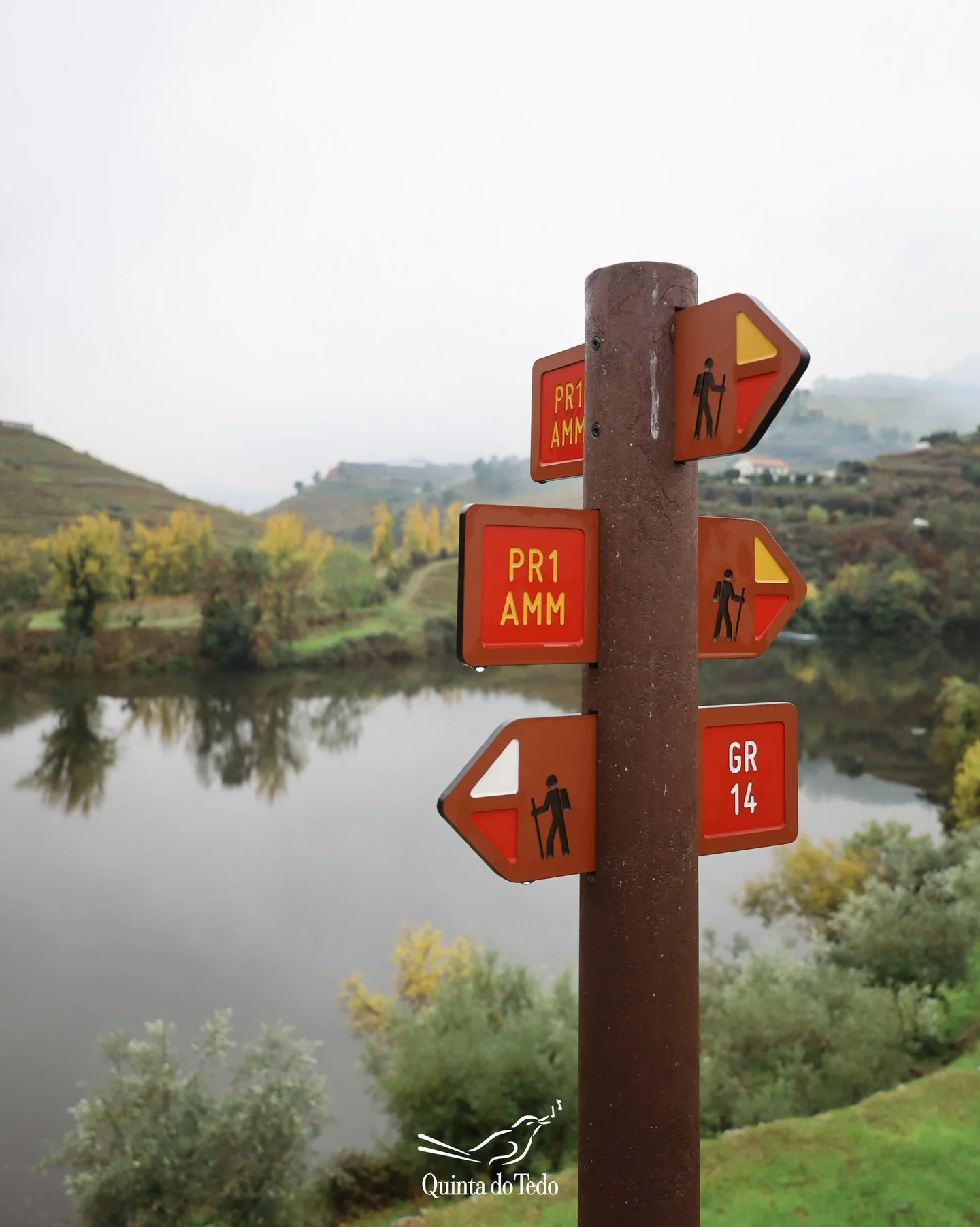 ᴘᴛ Entre o rio, as vinhas e os olivais, o caminho faz-se devagar.
Explore 3 km de trilhos pedestres na Quinta do Tedo e deixe-se envolver por paisagens &uacute;nicas 😍

ᴇɴ Between the river, vineyards, and olive groves, the path unfolds slowly.
Expl