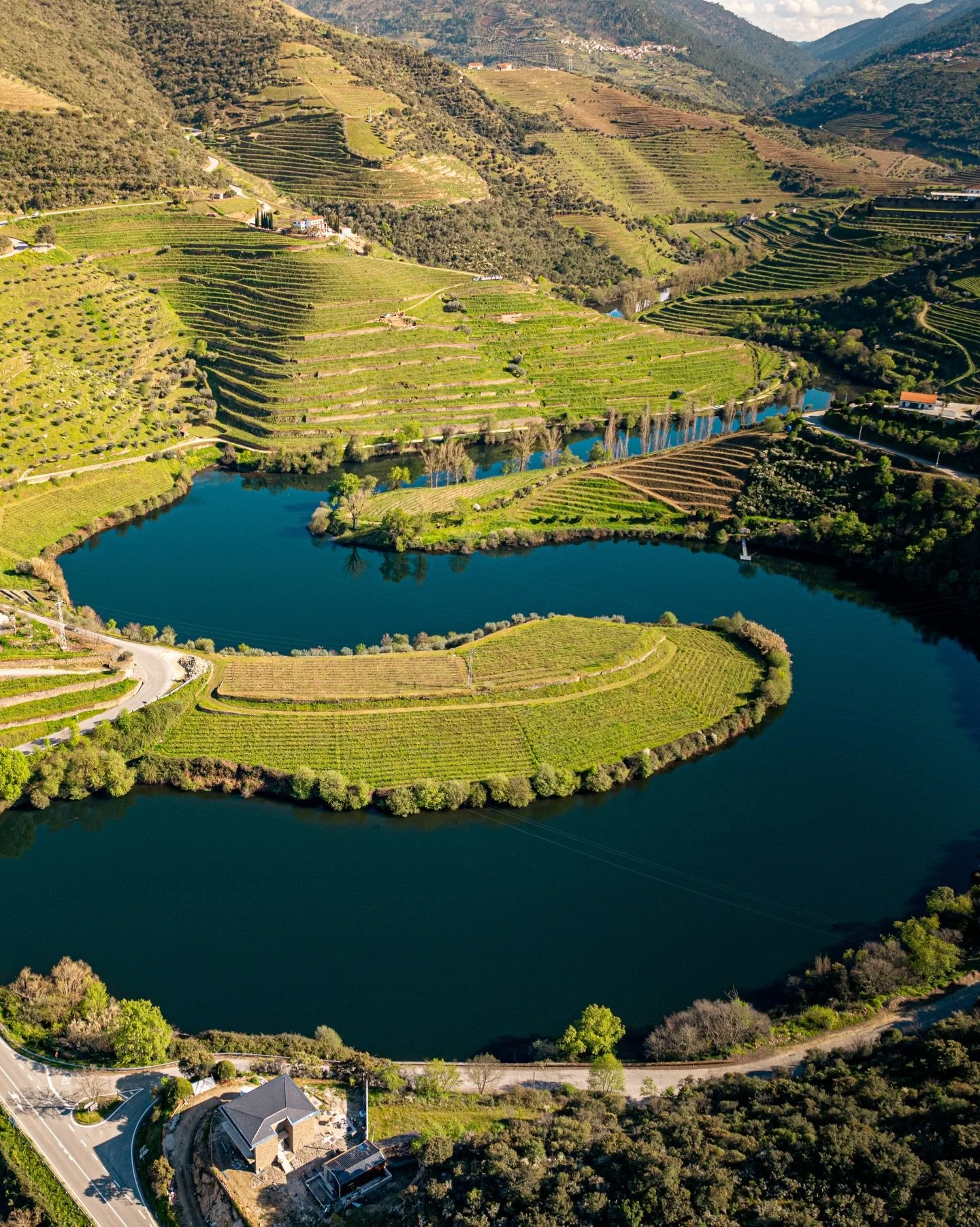 ᴘᴛ Se pudesse entrar nesta fotografia, entrava?
N&oacute;s entramos todos os dias 😍🌿

Reserve j&aacute; a sua estadia/prova em quintadotedo.com

ᴇɴ If you could step into this photo, would you?
We do it every day 😍🌿

Book your stay/tasting now at