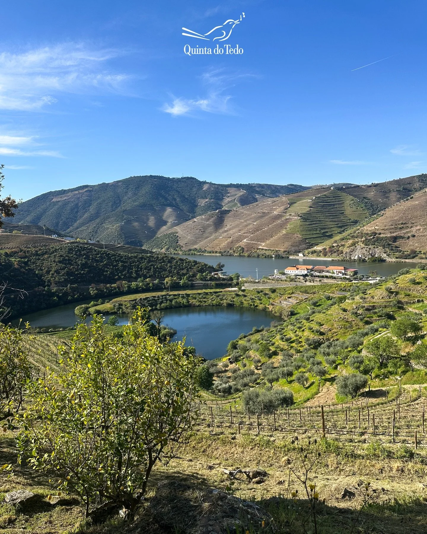 ᴘᴛ Hoje pod&iacute;amos dizer que esta paisagem n&atilde;o &eacute; assim t&atilde;o especial&hellip; 
Mas seria mentira 🤭

ᴇɴ Today we might say that this landscape isn&rsquo;t all that special&hellip; 
But that would be a lie 🤭

ғʀ Aujourd&rsquo;