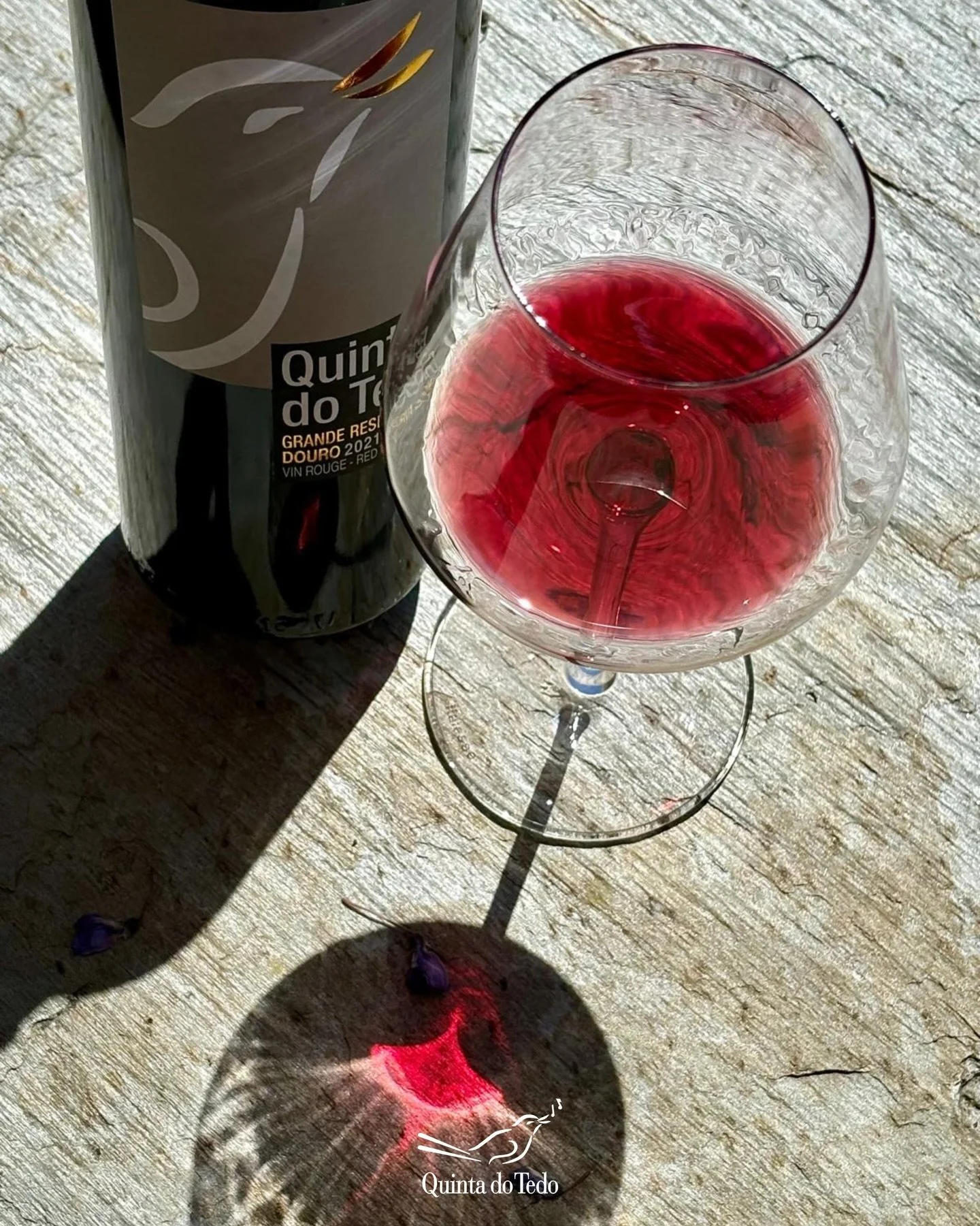 ᴘᴛ O nosso novo 𝗦𝗮𝘃𝗲𝗱𝗿𝗮 𝟮𝟬𝟮𝟭 𝗚𝗿𝗮𝗻𝗱𝗲 𝗥𝗲𝘀𝗲𝗿𝘃𝗮 j&aacute; chegou! 🍷

De cor rubi profunda, revela aromas intensos de frutos pretos &mdash; amoras silvestres, cassis e ameixa &mdash; envolvidos por notas subtis de pimenta preta e 