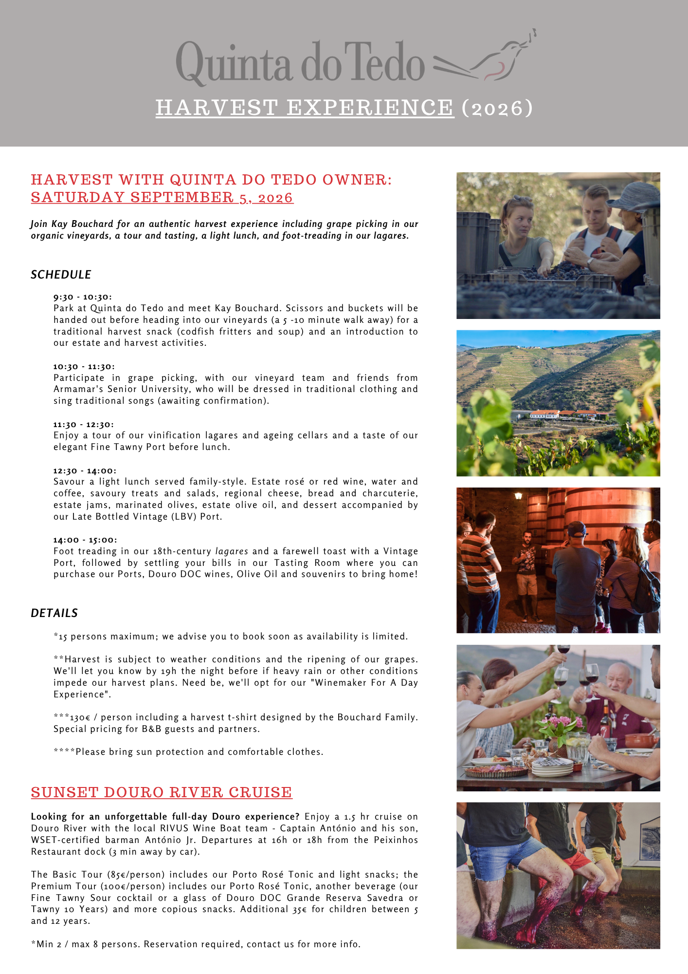 Harvest Experience V1 (EN).png