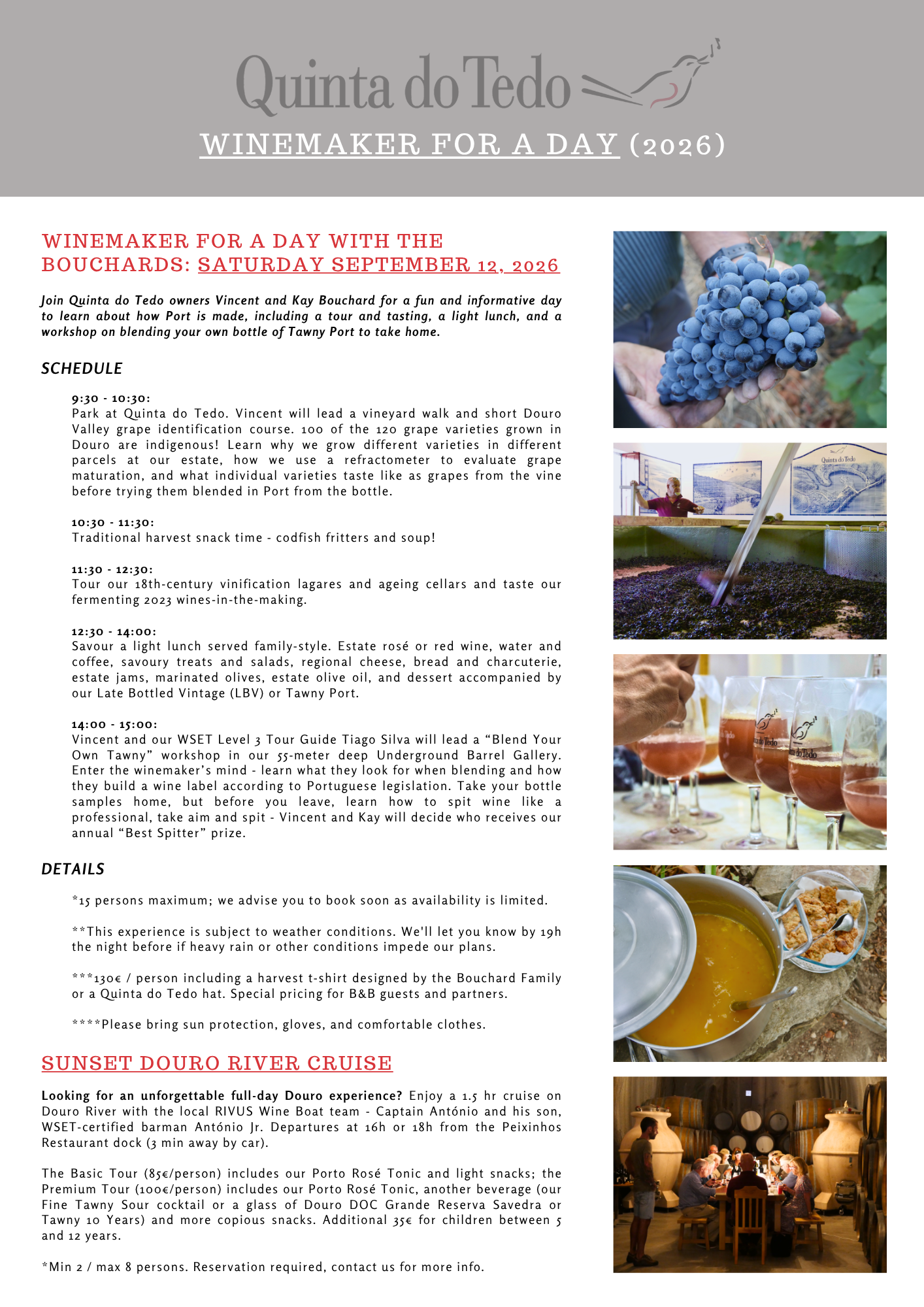 Winemaker for a Day V1 (EN).png