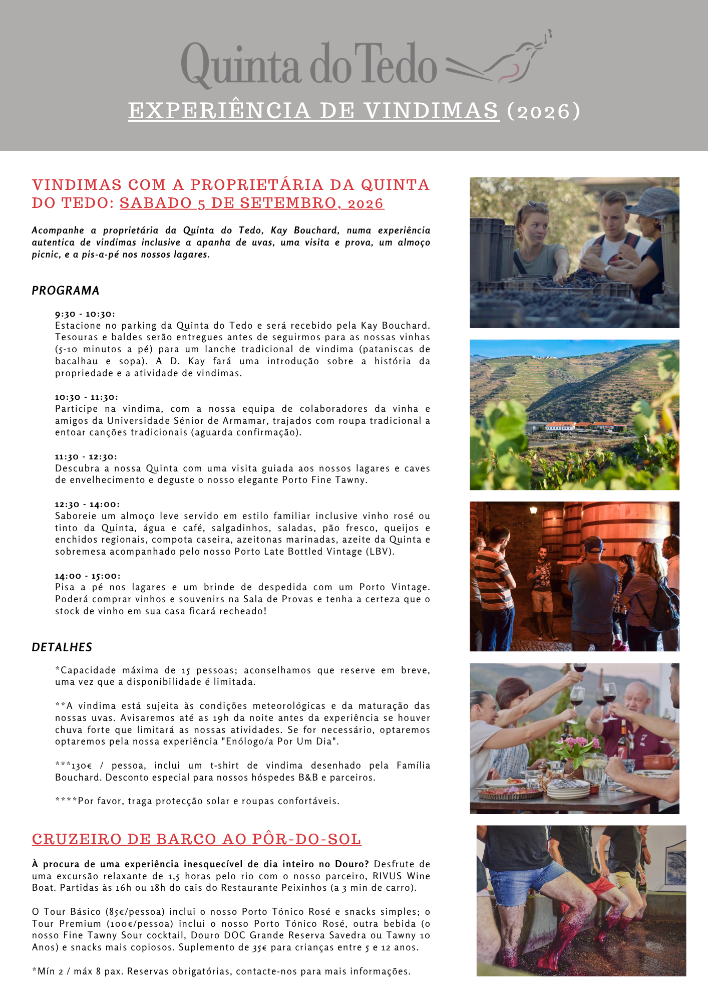 Harvest Experience V1 (PT).png