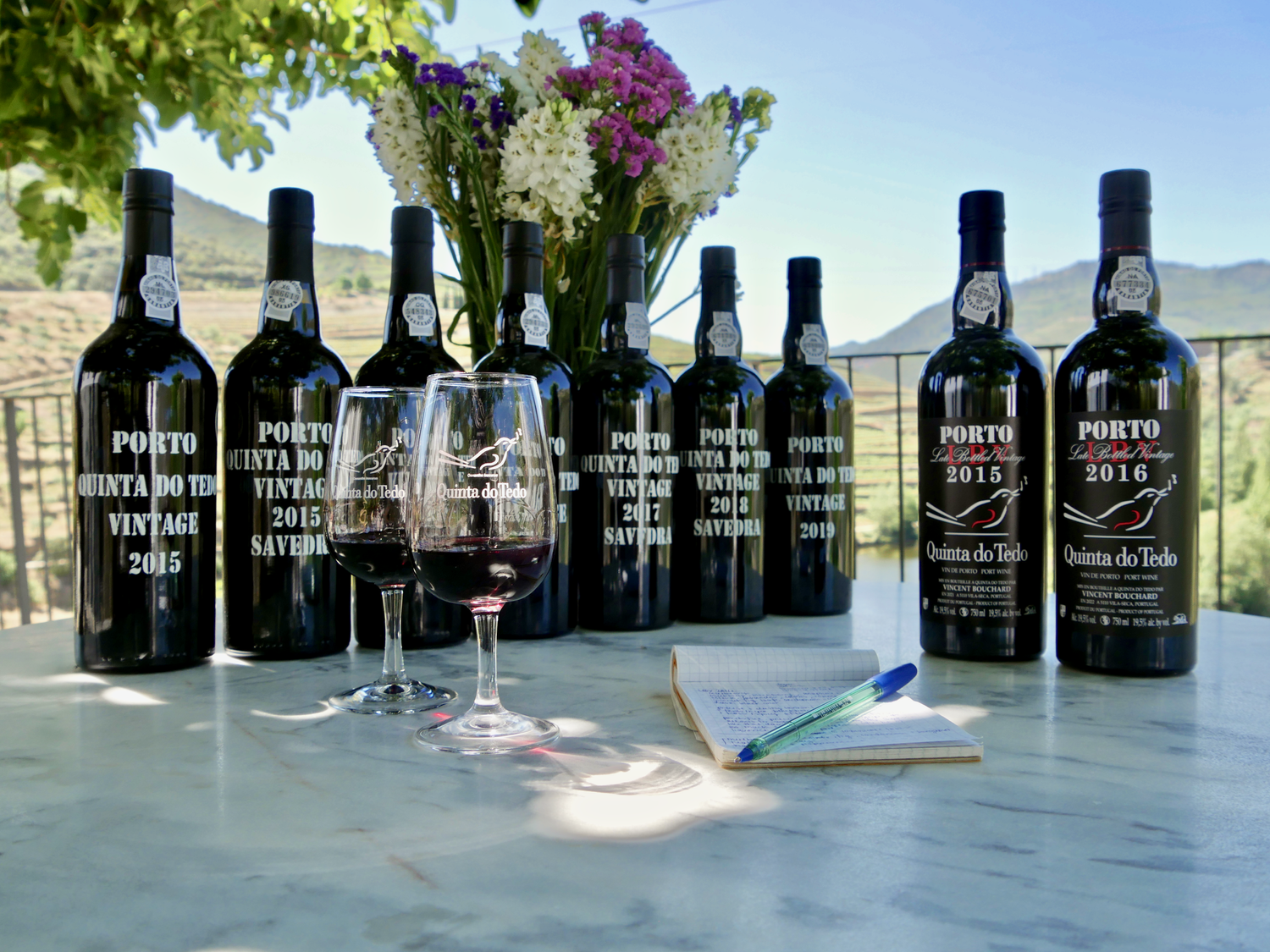 Tasting our new Ports alongside their category forerunners with a lovely Tedo Valley backdrop as seen from our B&B pool lounge area.