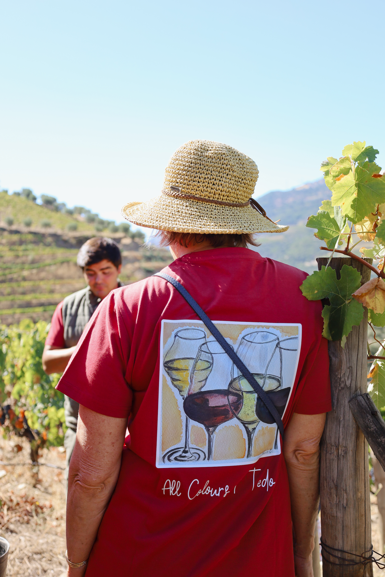 Each harvest warrants a unique t-shirt design; 2024’s features Paolo’s watercolor “All Colors of Tedo”.